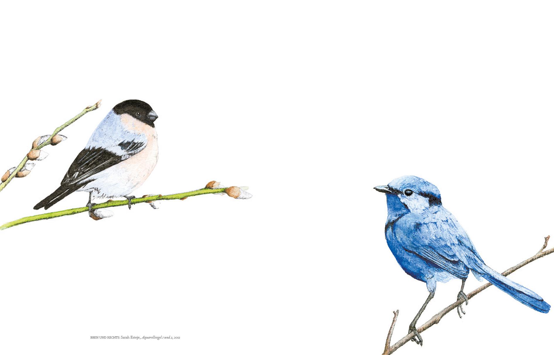 Beispielinhalt (Bild) Vögel in der Kunst