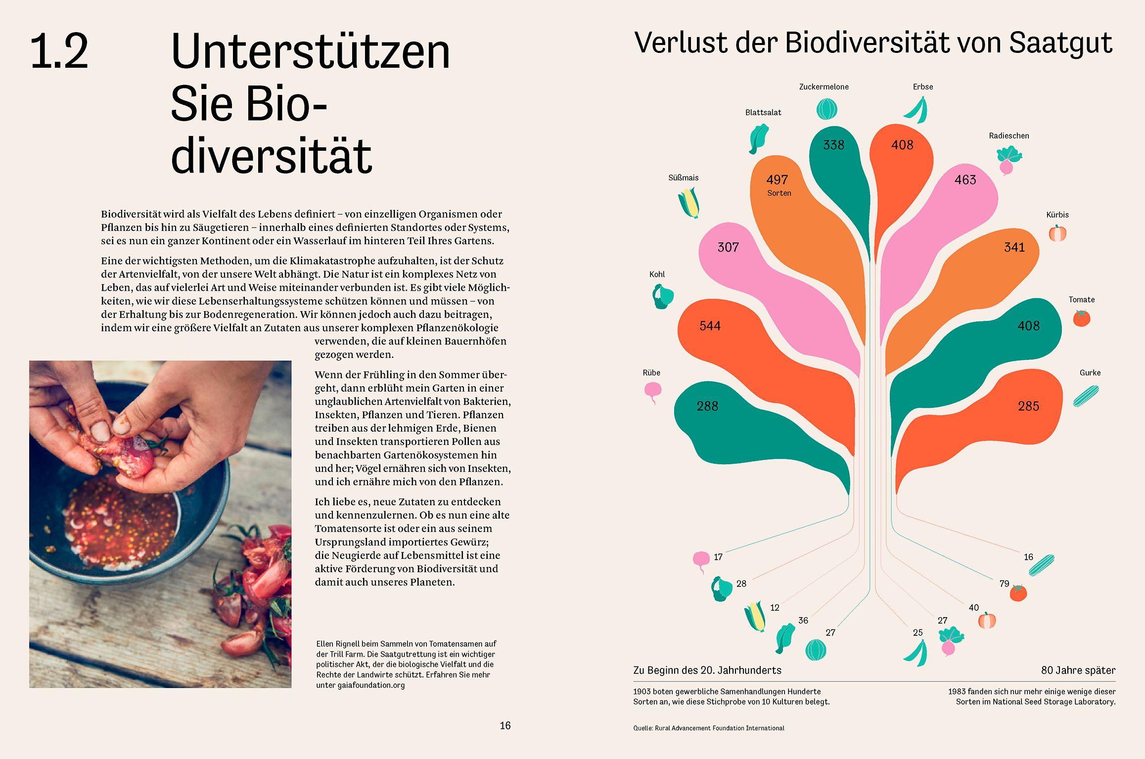 Beispielinhalt (Bild) Essen für die Zukunft