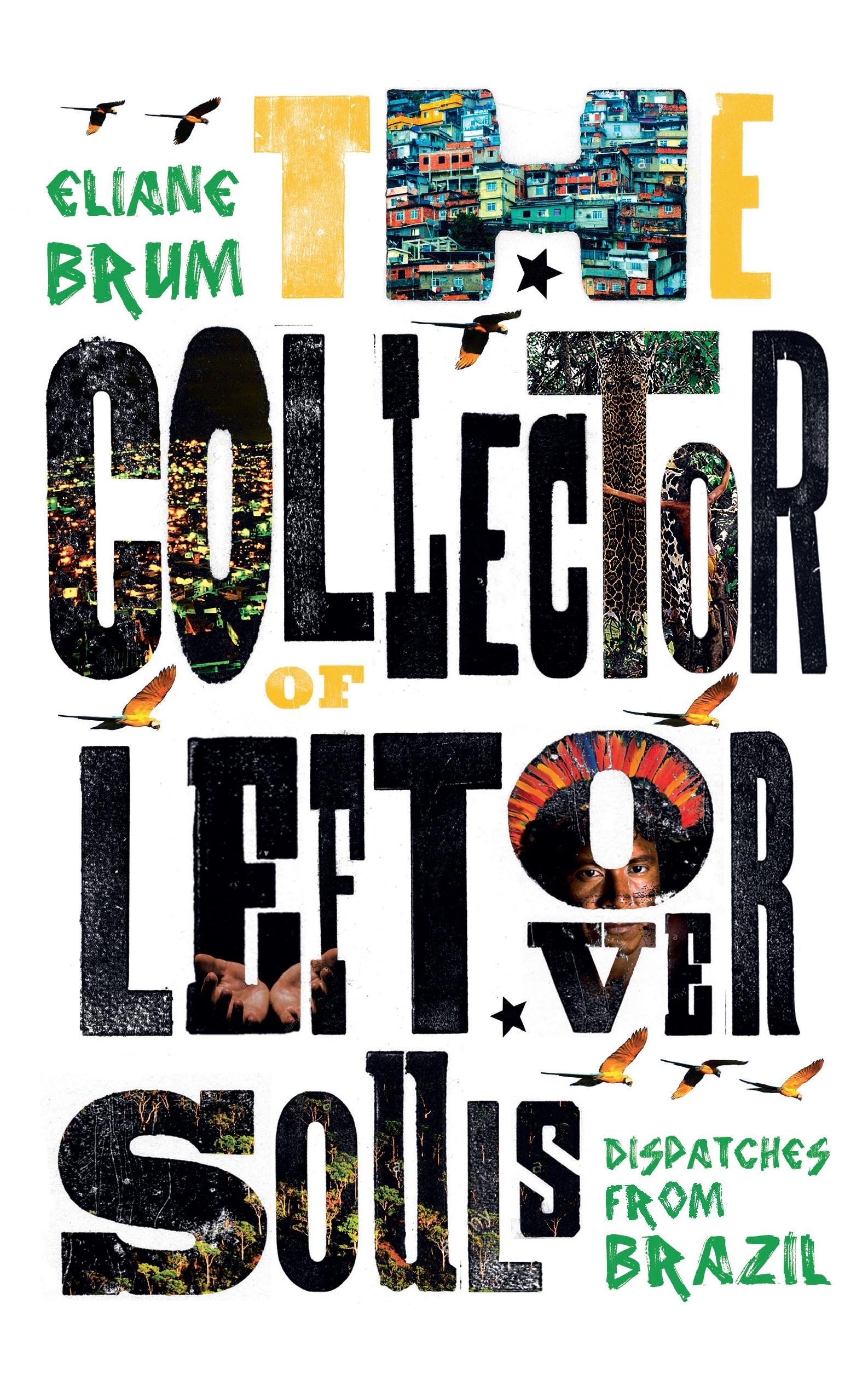 Vorderes Coverbild The Collector of Leftover Souls
