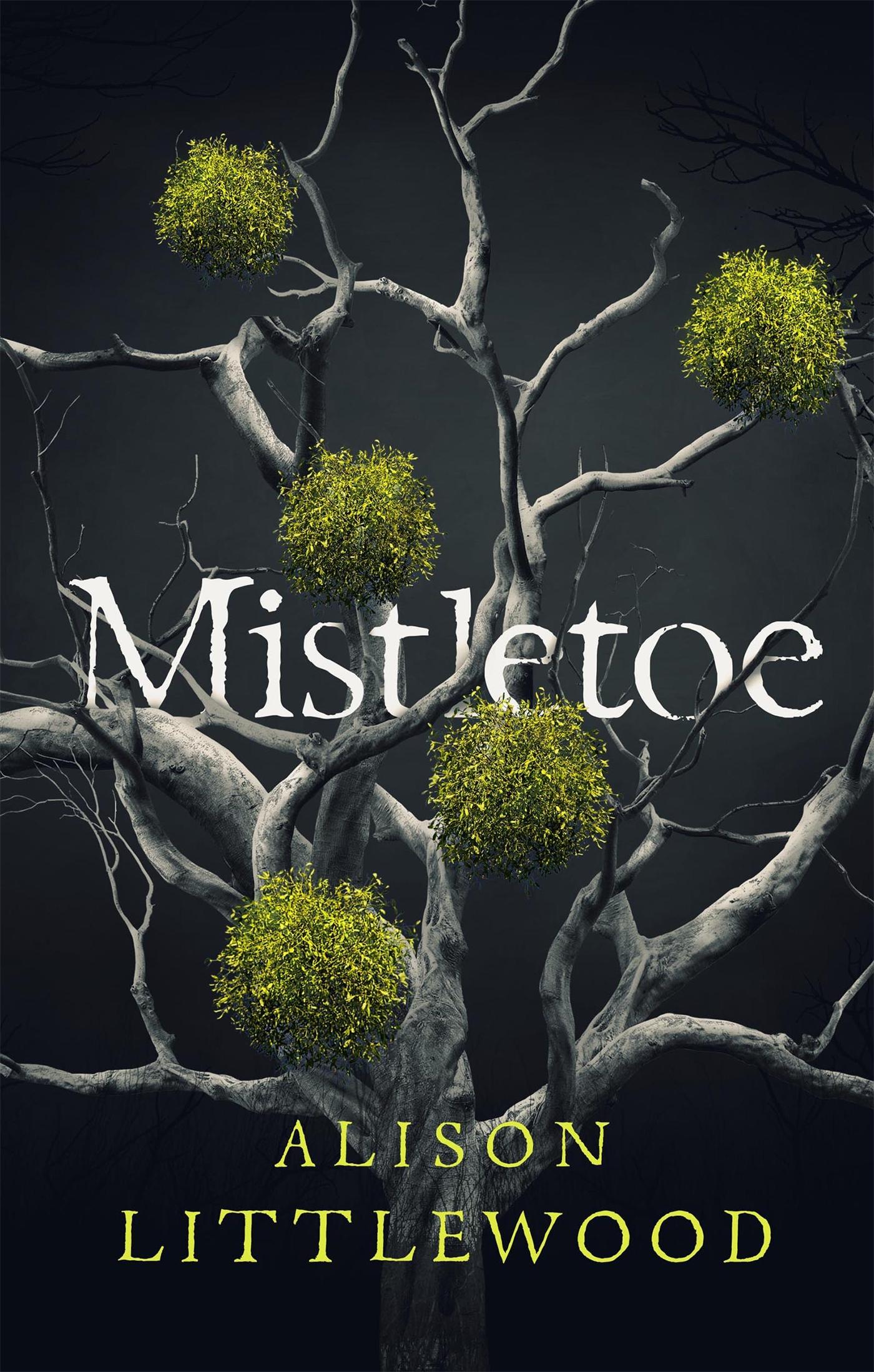 Vorderes Coverbild Mistletoe