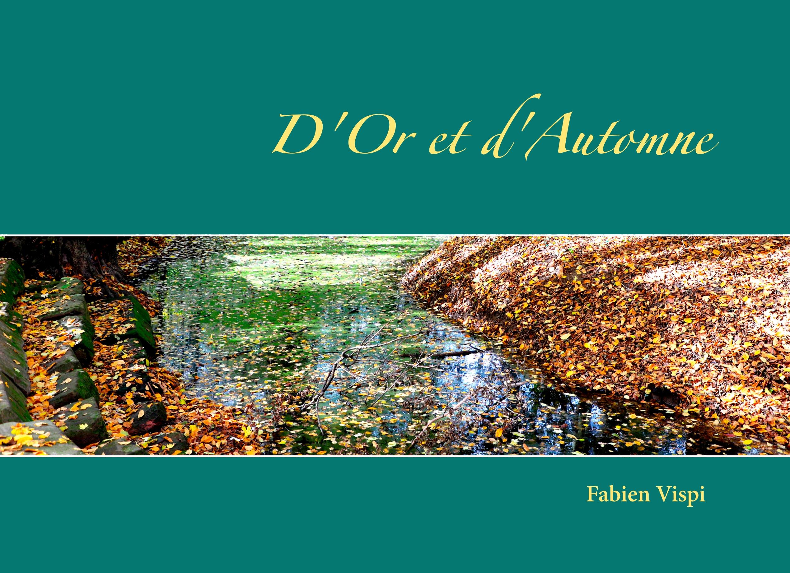 Vorderes Coverbild D'Or et d'Automne