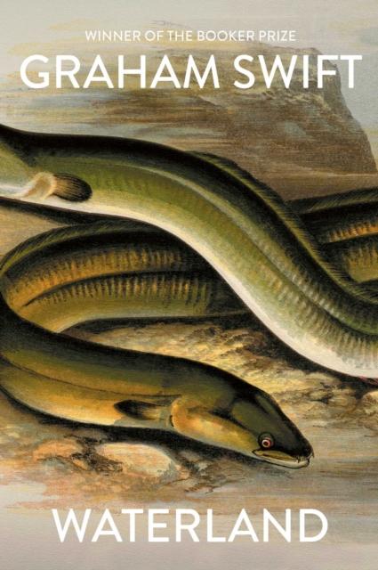 Vorderes Coverbild Waterland