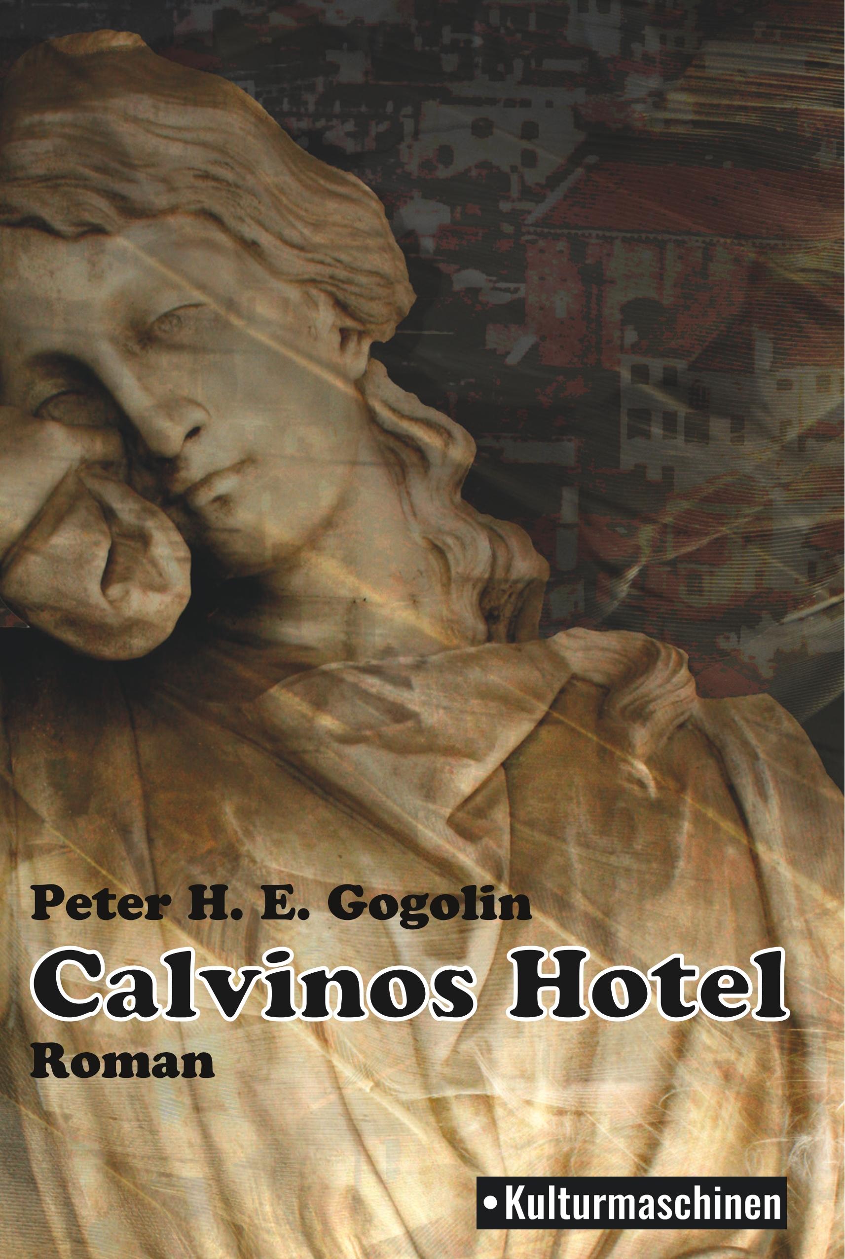 Vorderes Coverbild Calvinos Hotel