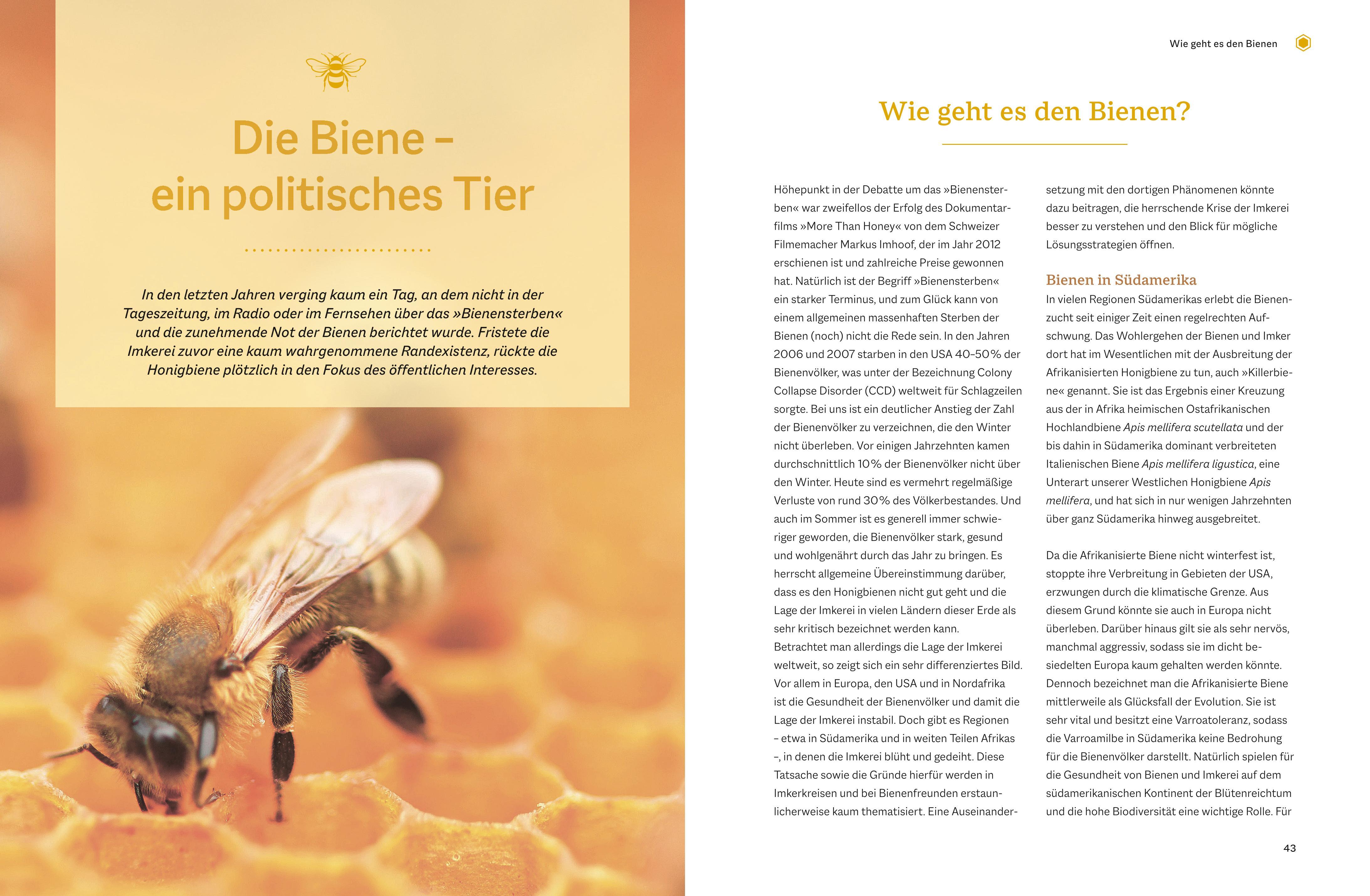 Beispielinhalt (Bild) Bienengemäß imkern
