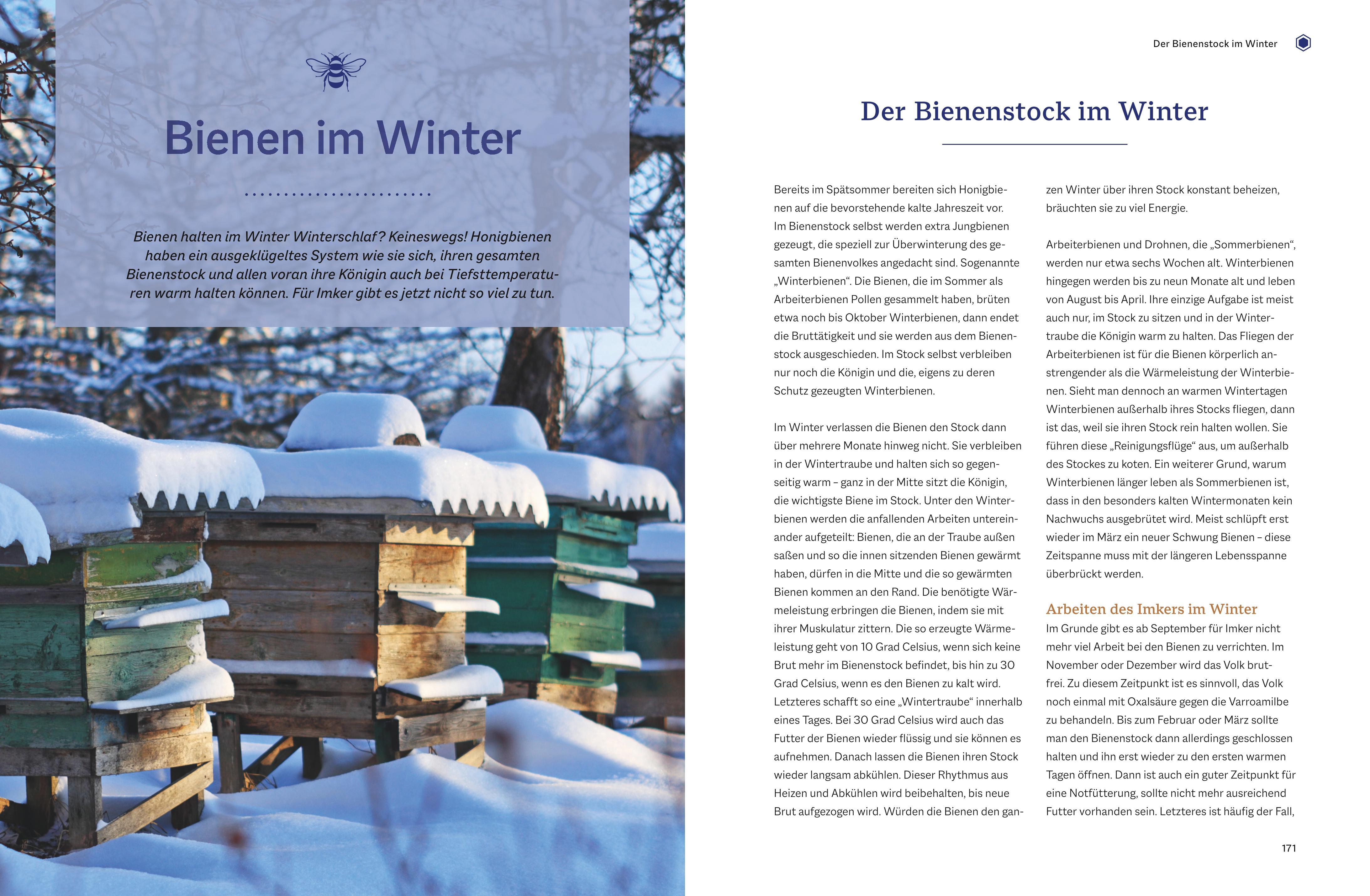 Beispielinhalt (Bild) Bienengemäß imkern