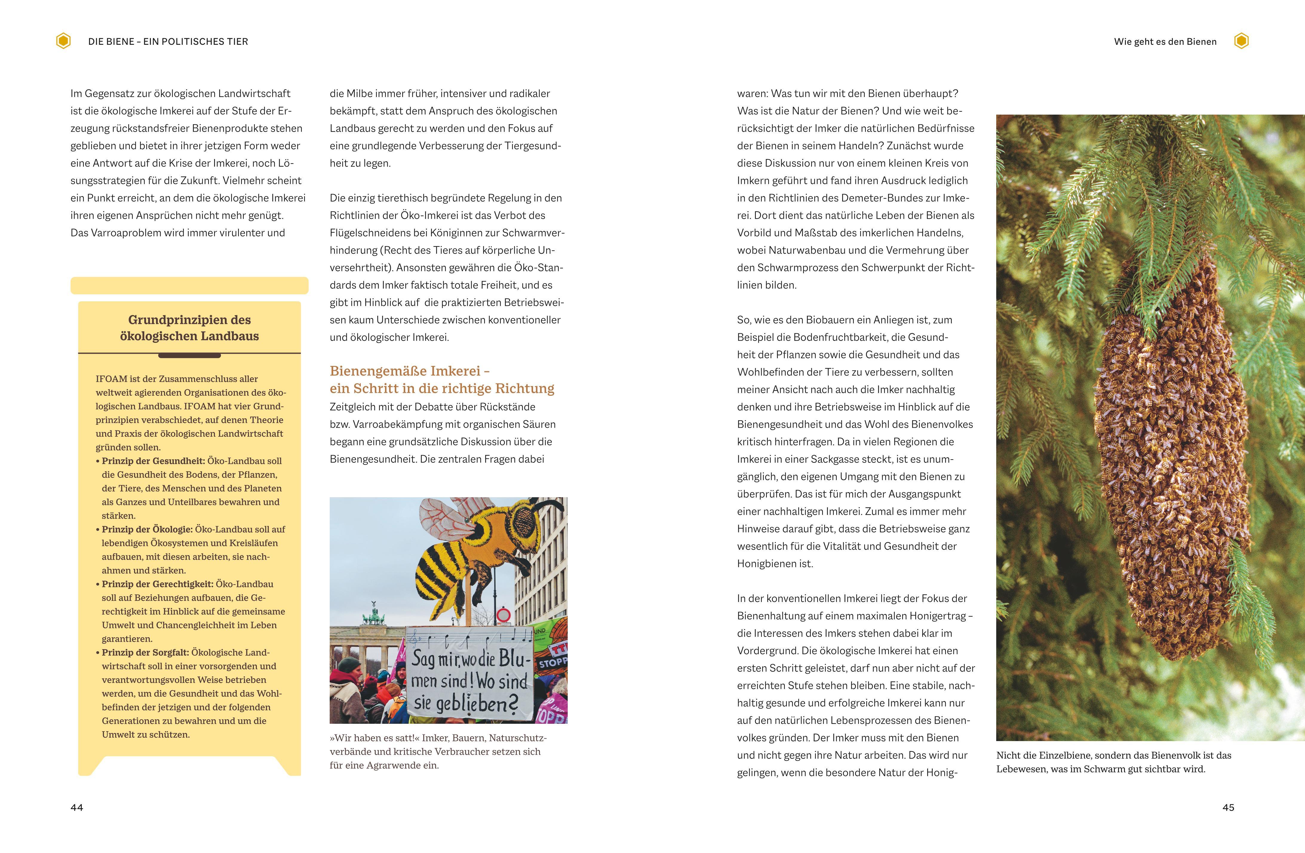 Beispielinhalt (Bild) Bienengemäß imkern