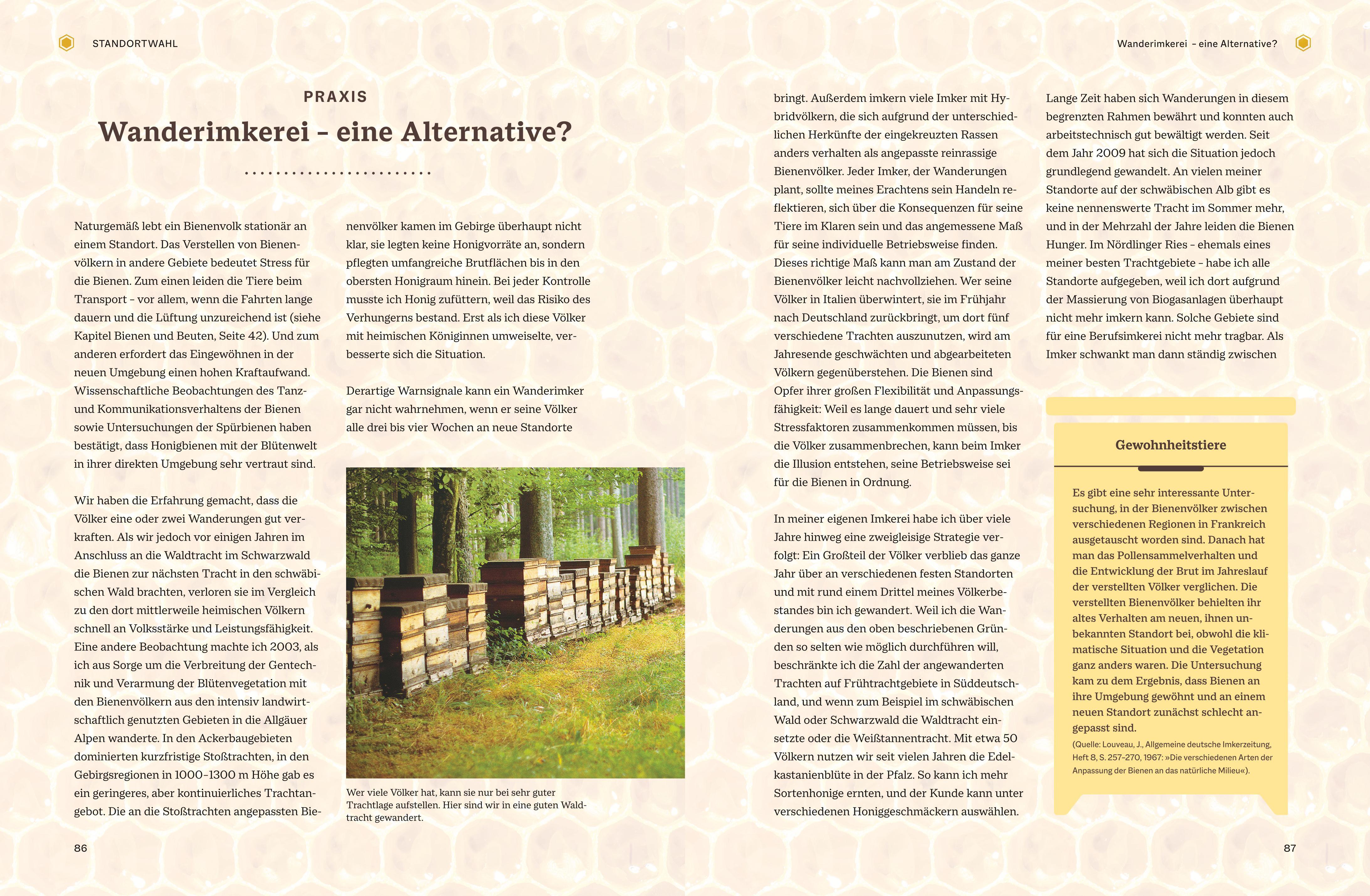 Beispielinhalt (Bild) Bienengemäß imkern