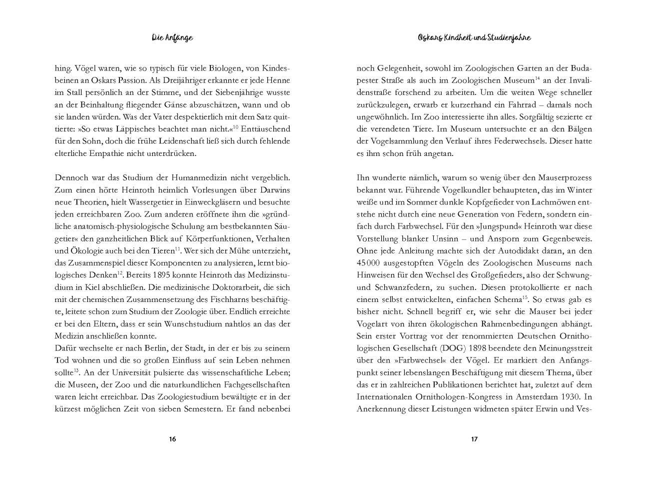 Beispielinhalt (Bild) Die Vogel-WG