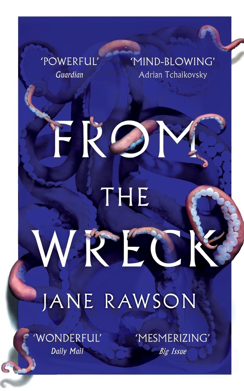 Vorderes Coverbild From The Wreck