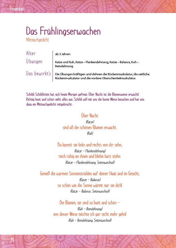 Beispielinhalt (Bild) Schildi Schildkröte entspannt sich