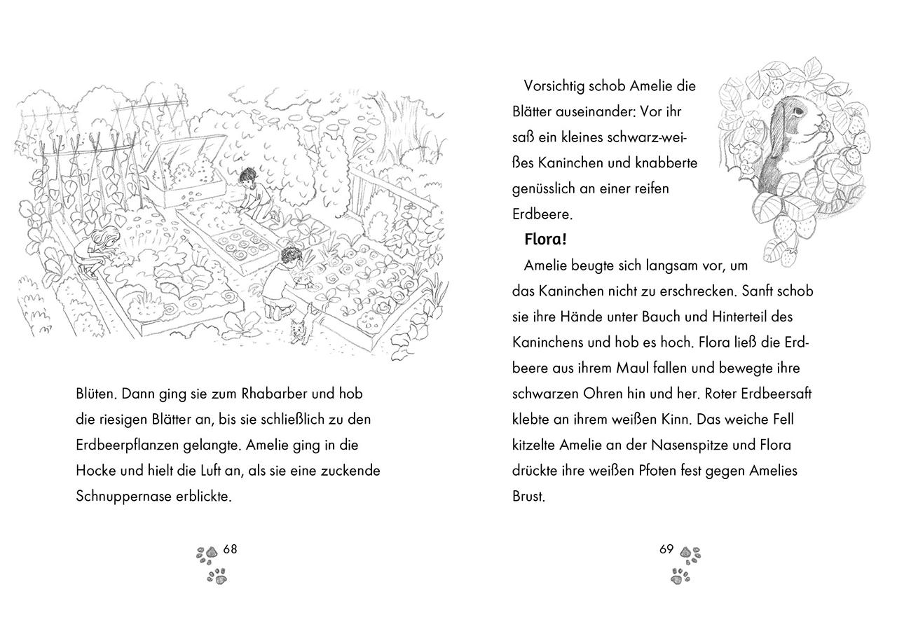 Beispielinhalt (Bild) Tierklinik Pfötchen (Band 2) - Ein Kaninchen mit Bauchweh
