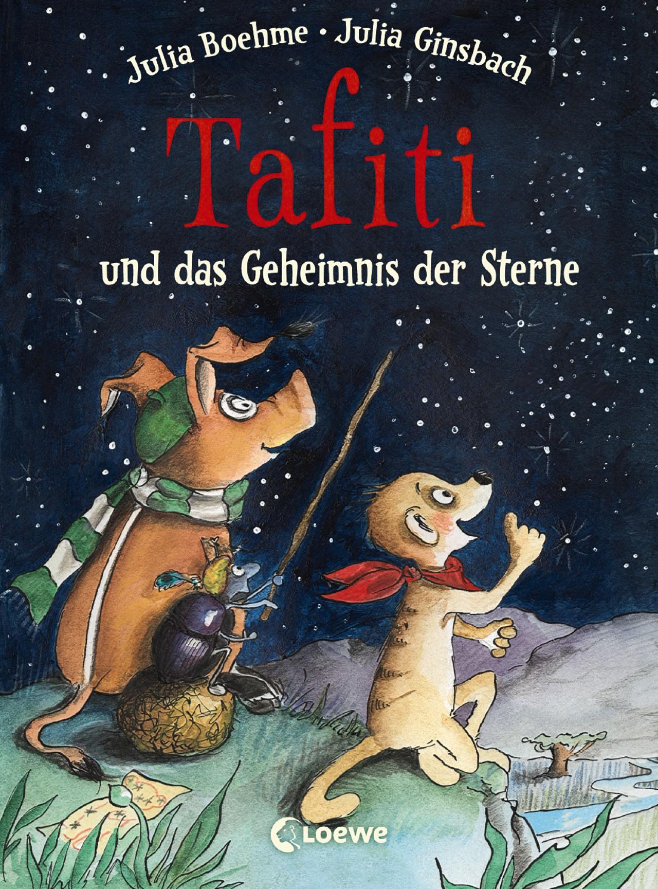 Vorderes Coverbild Tafiti und das Geheimnis der Sterne (Band 14)
