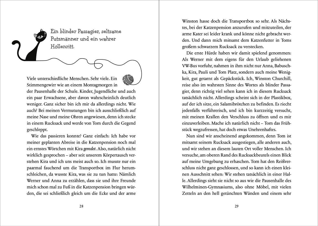 Beispielinhalt (Bild) Winston (Band 5) - Kater Undercover