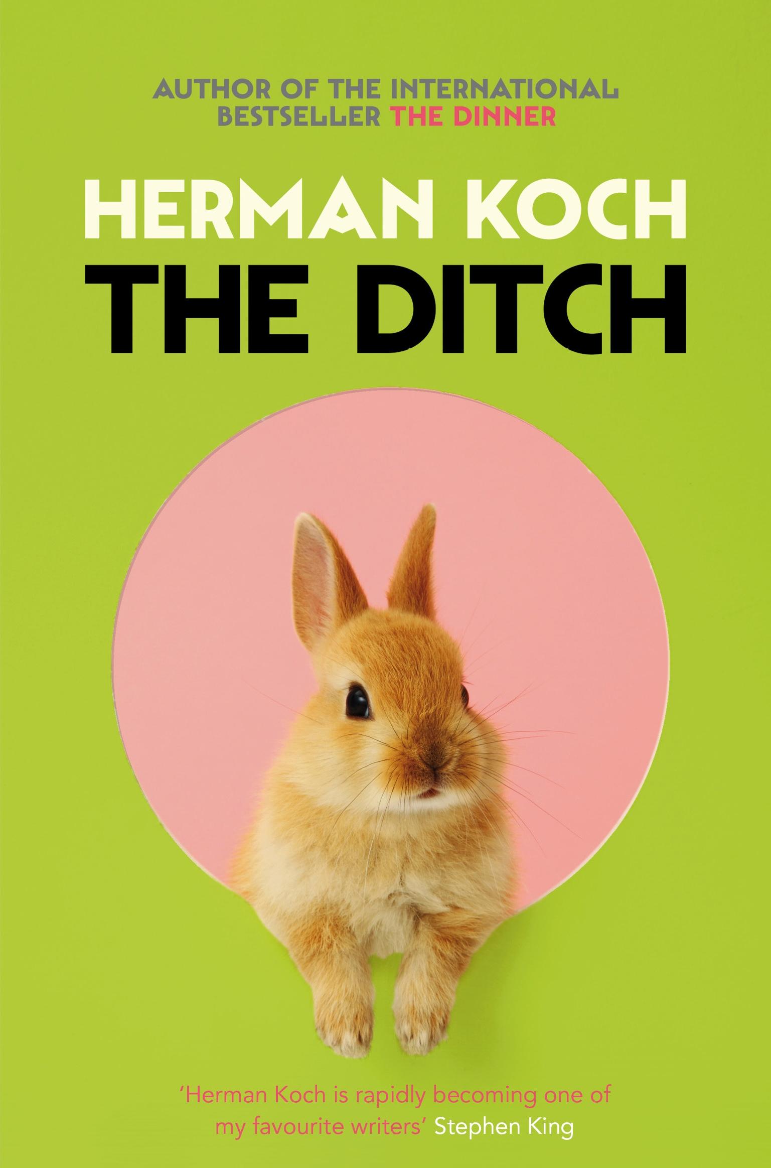 Vorderes Coverbild The Ditch