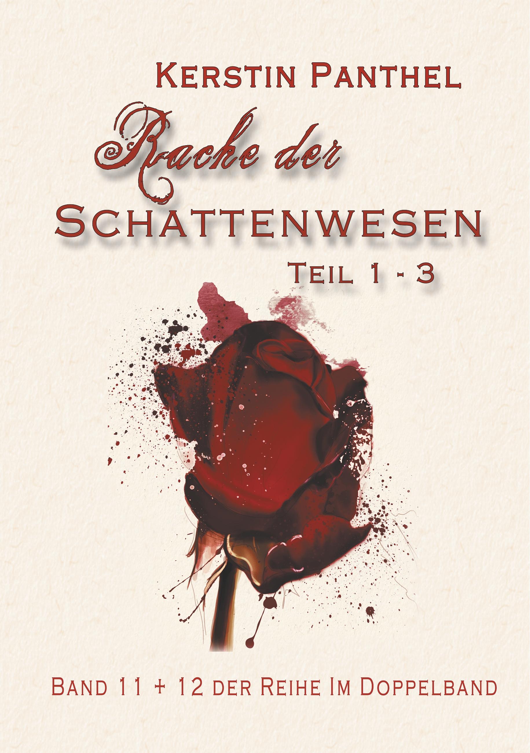 Vorderes Coverbild Rache der Schattenwesen