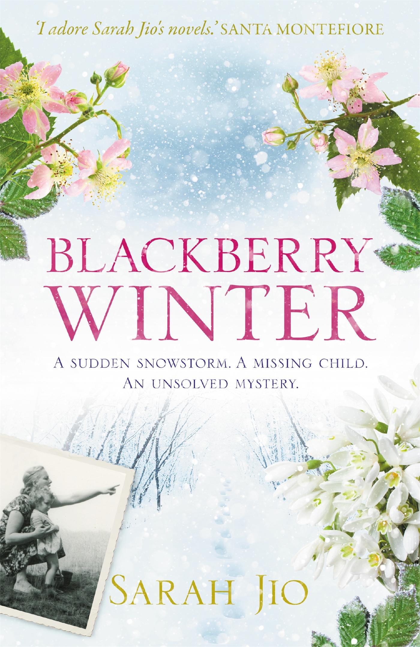 Vorderes Coverbild Blackberry Winter