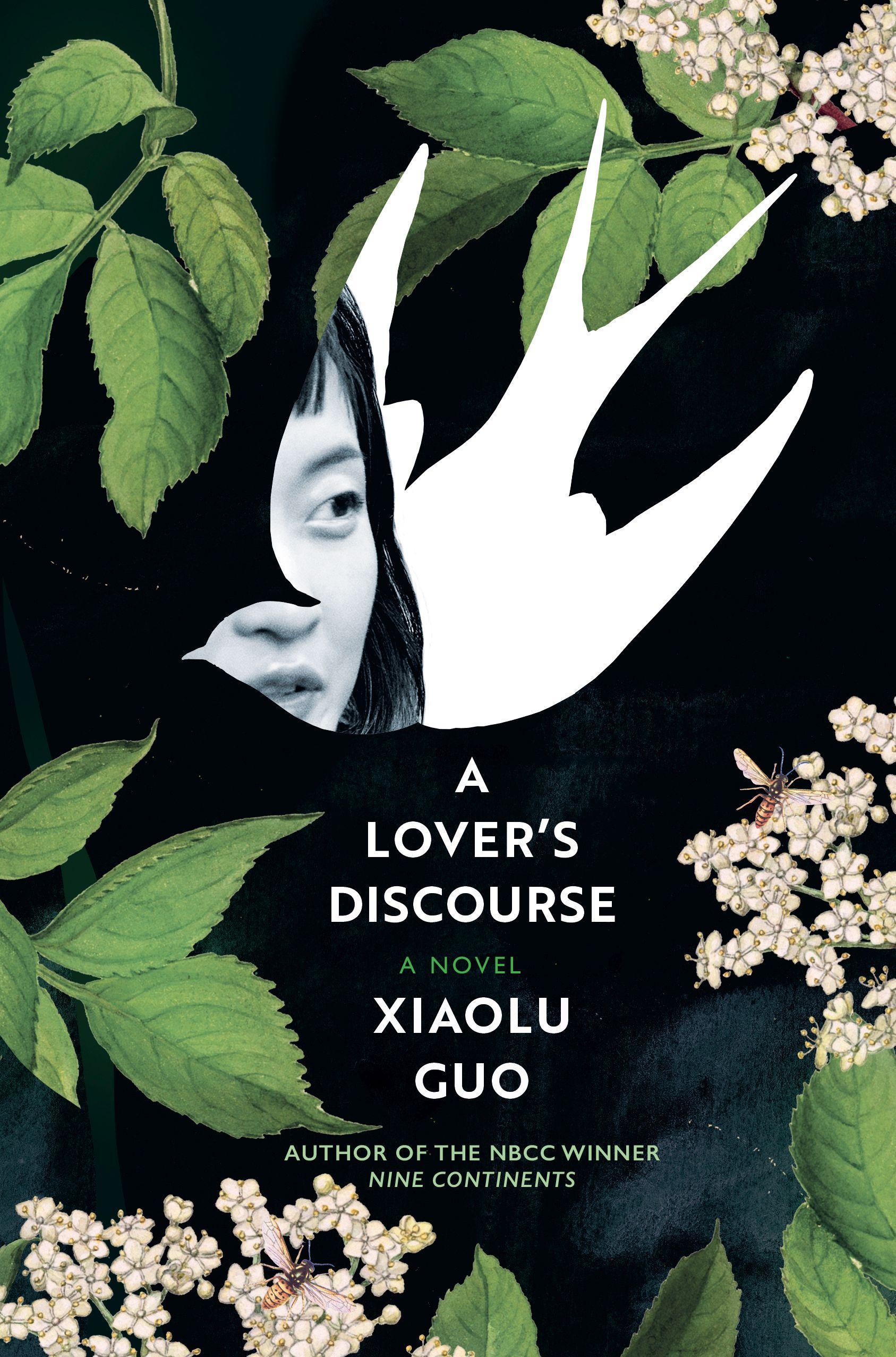 Vorderes Coverbild A Lover's Discourse