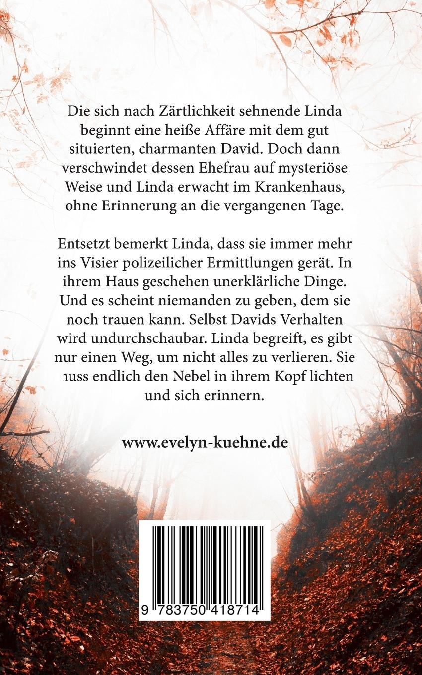 Rückseitencover Riss im Nebel