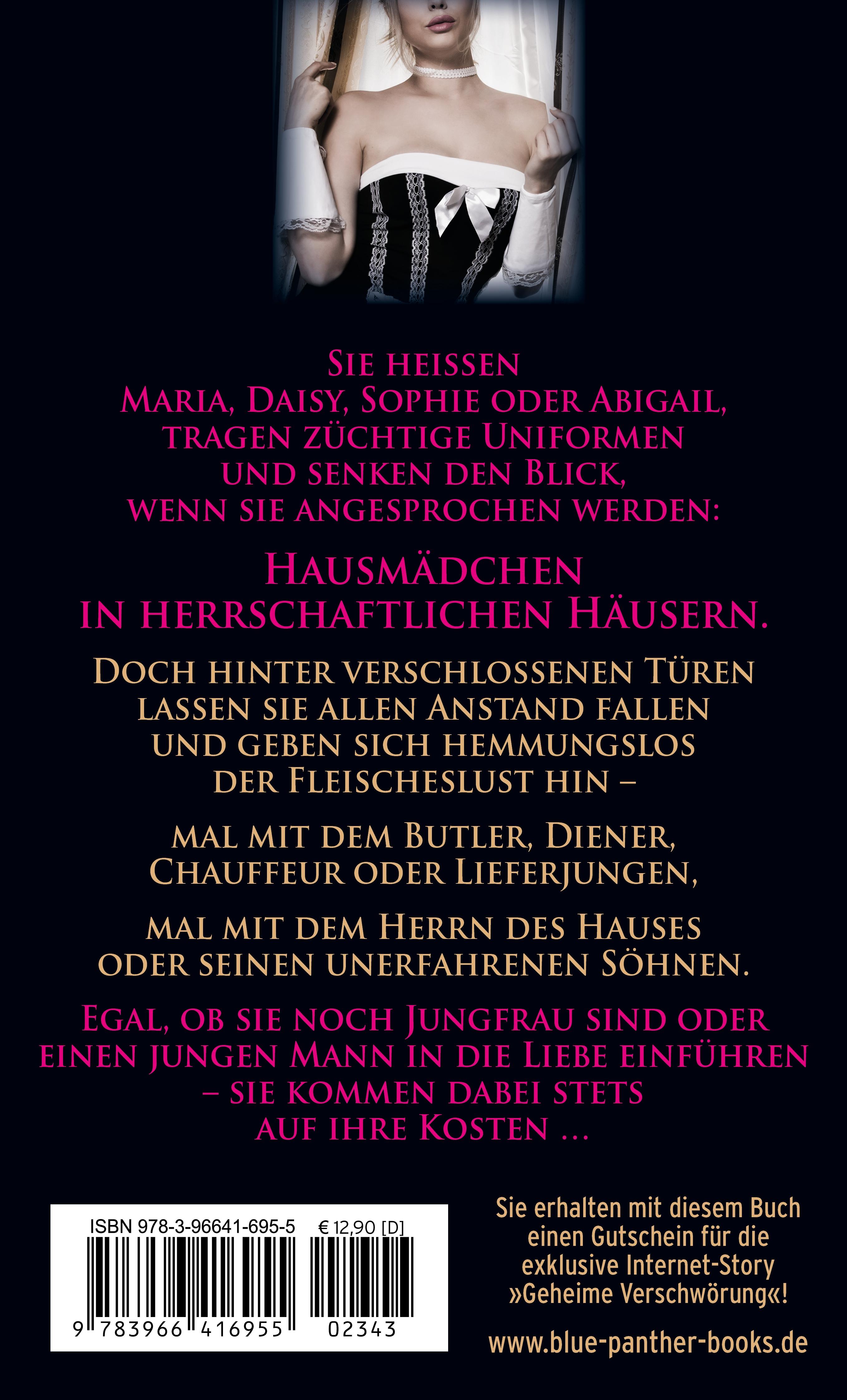 Rückseitencover Hausmädchen - Wildes Treiben hinter verschlossenen Türen | Erotische Geschichten