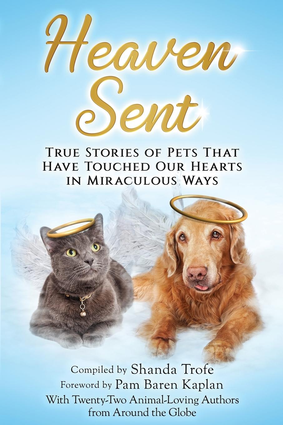 Vorderes Coverbild Heaven Sent