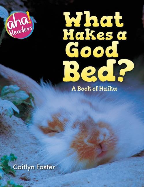 Vorderes Coverbild What Makes a Good Bed?: A book of Haiku