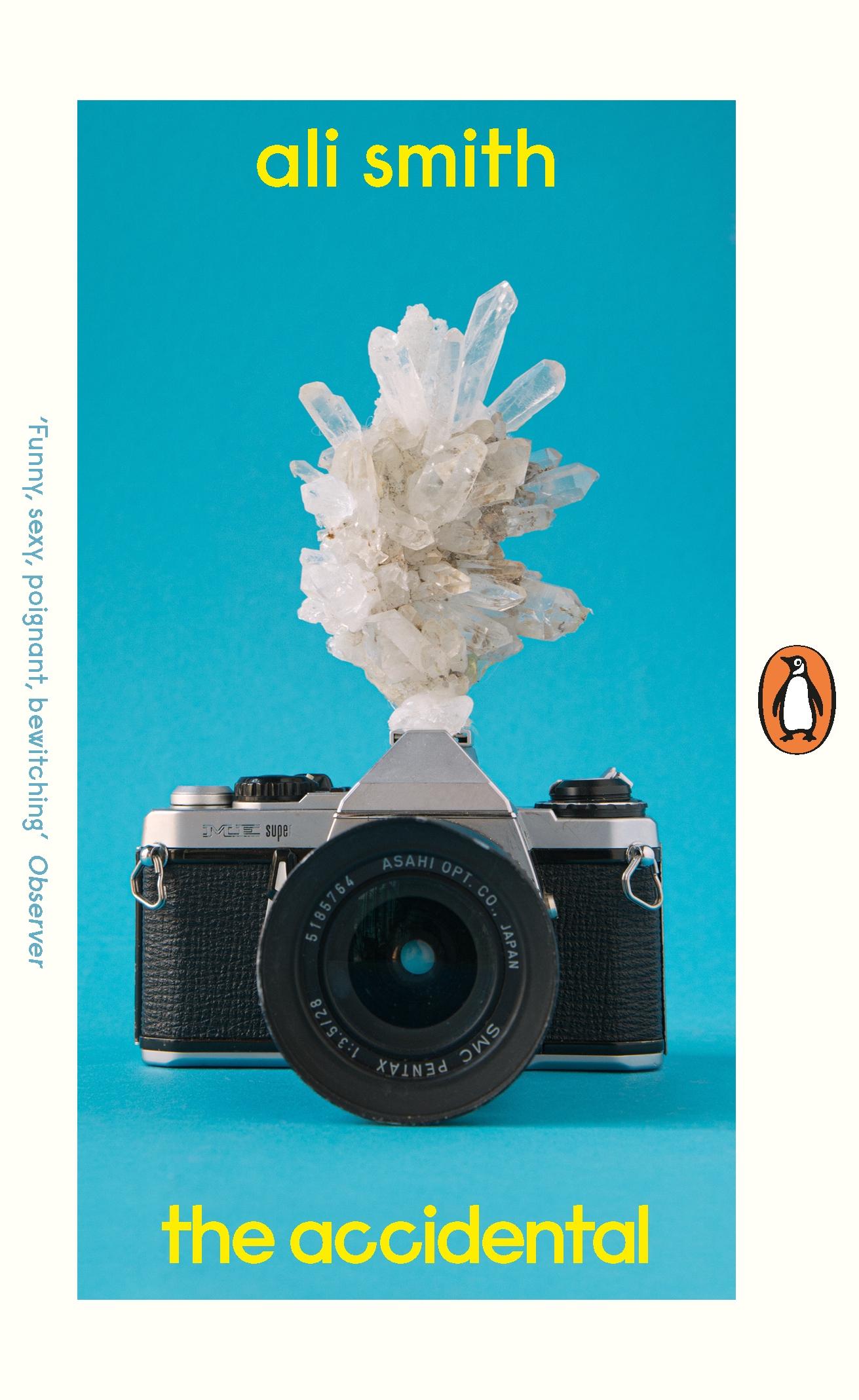 Vorderes Coverbild The Accidental