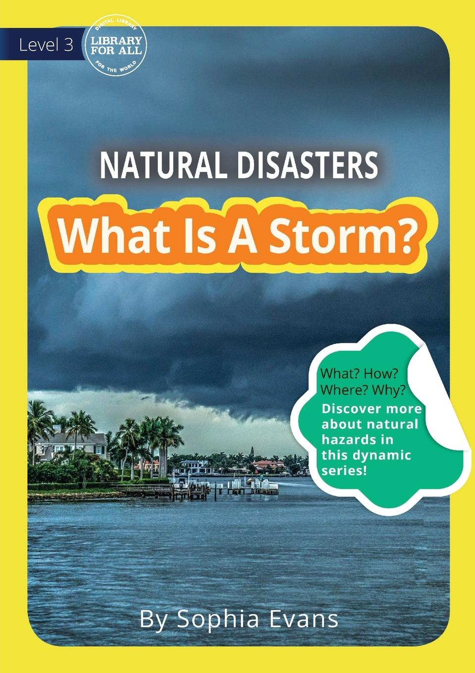Vorderes Coverbild What Is A Storm?
