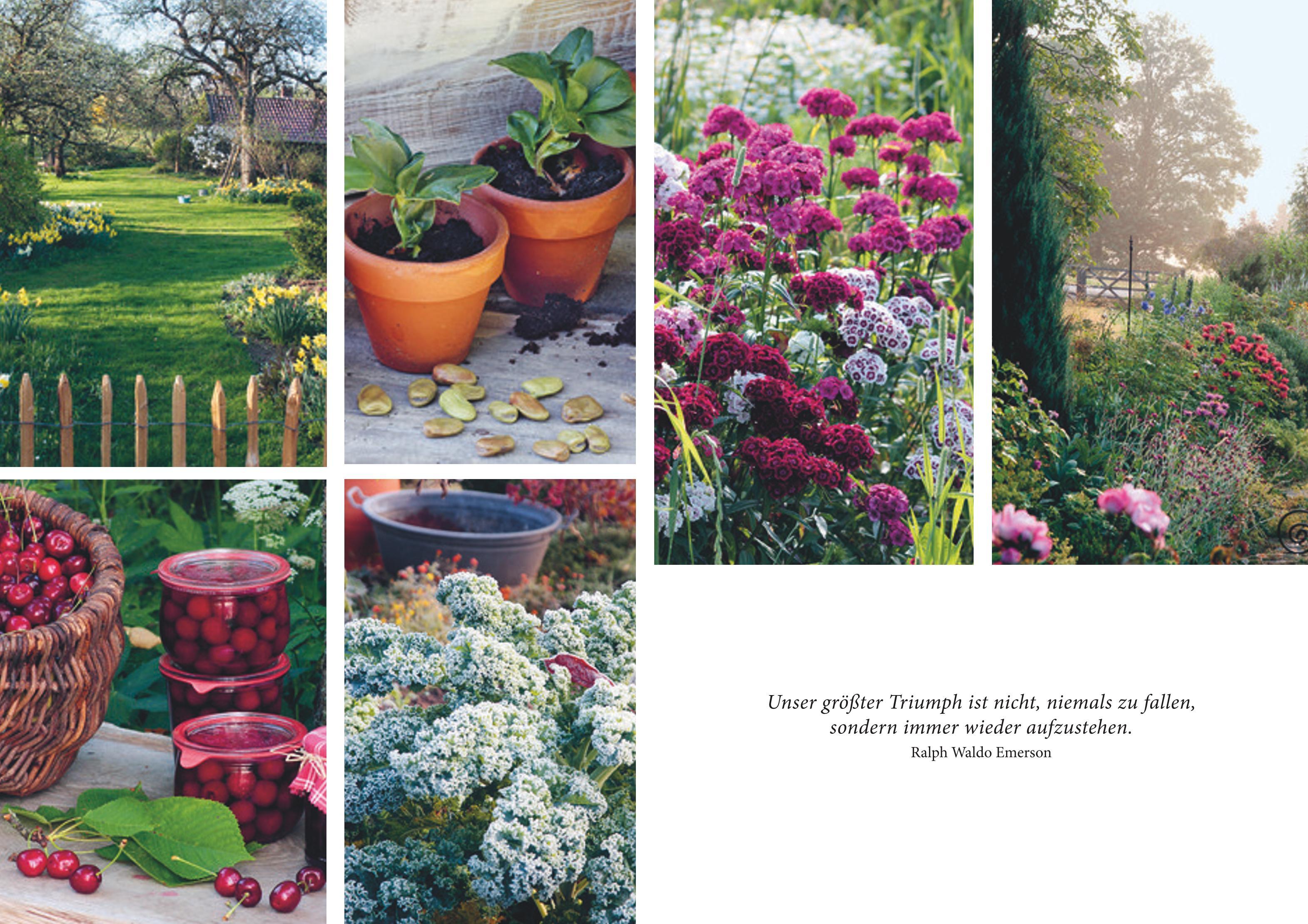 Beispielinhalt (Bild) Glück kann man pflanzen