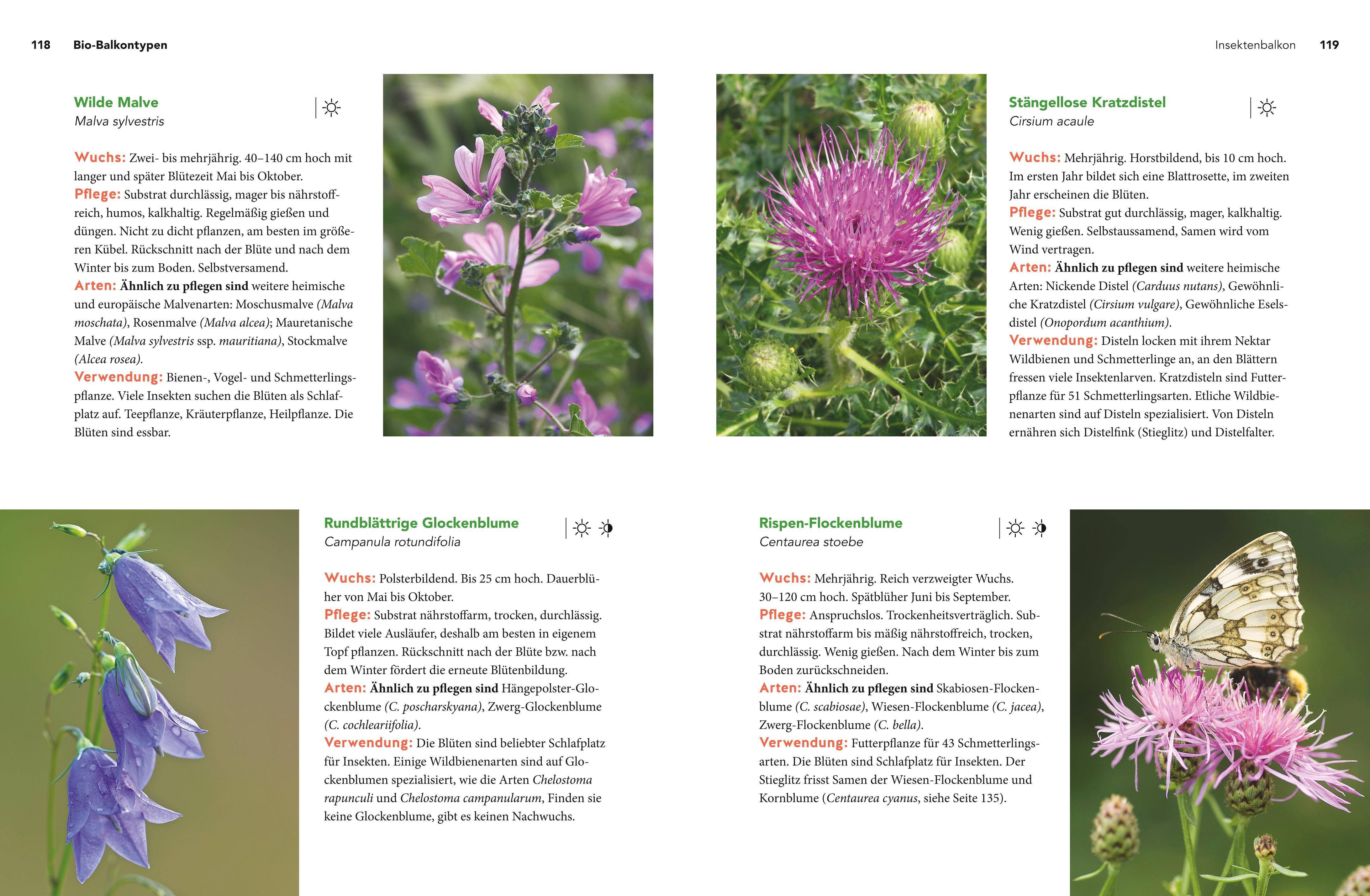 Beispielinhalt (Bild) Mein Biotop auf dem Balkon