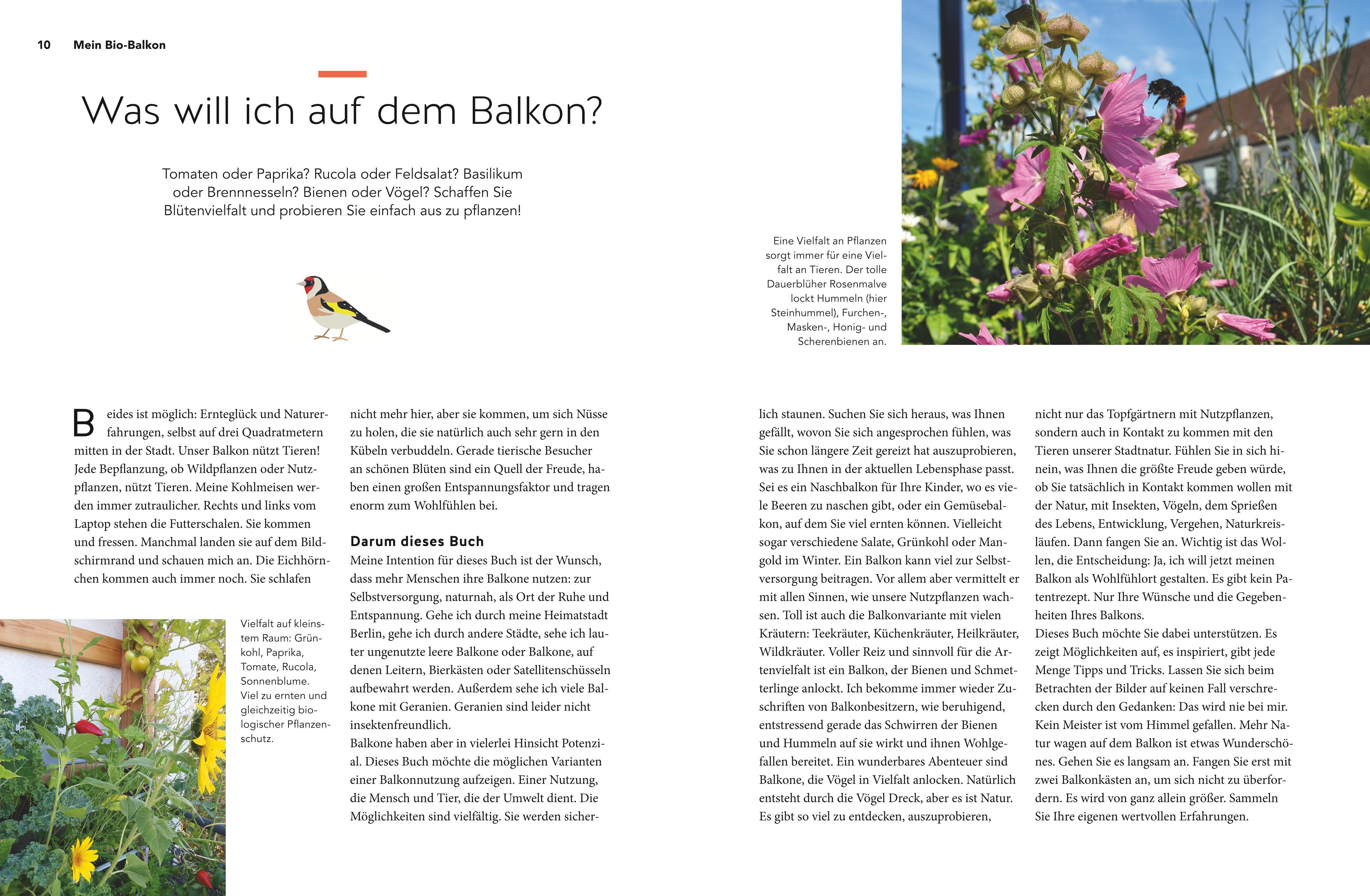 Beispielinhalt (Bild) Mein Biotop auf dem Balkon