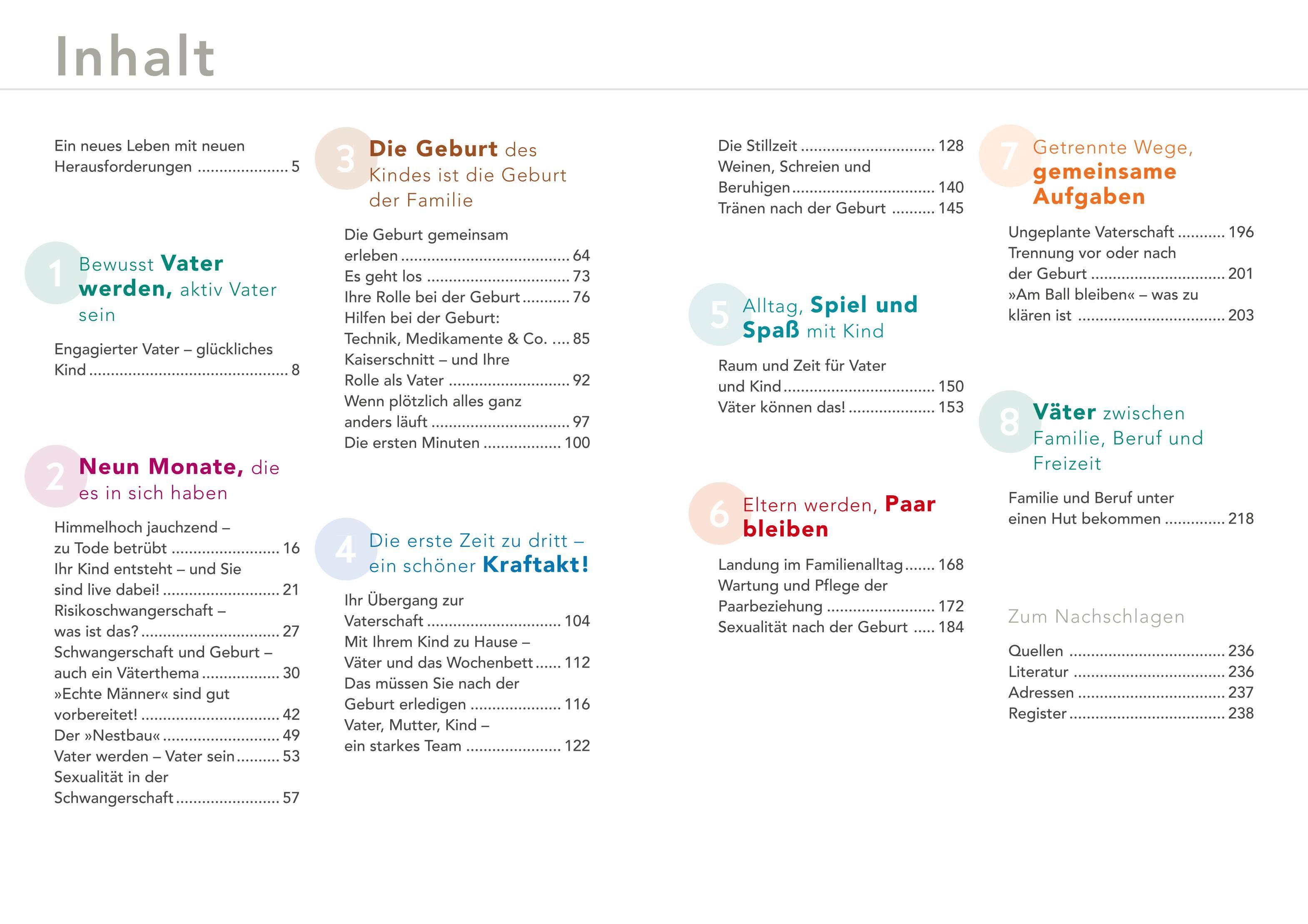 Beispielinhalt (Bild) Das Papa-Handbuch