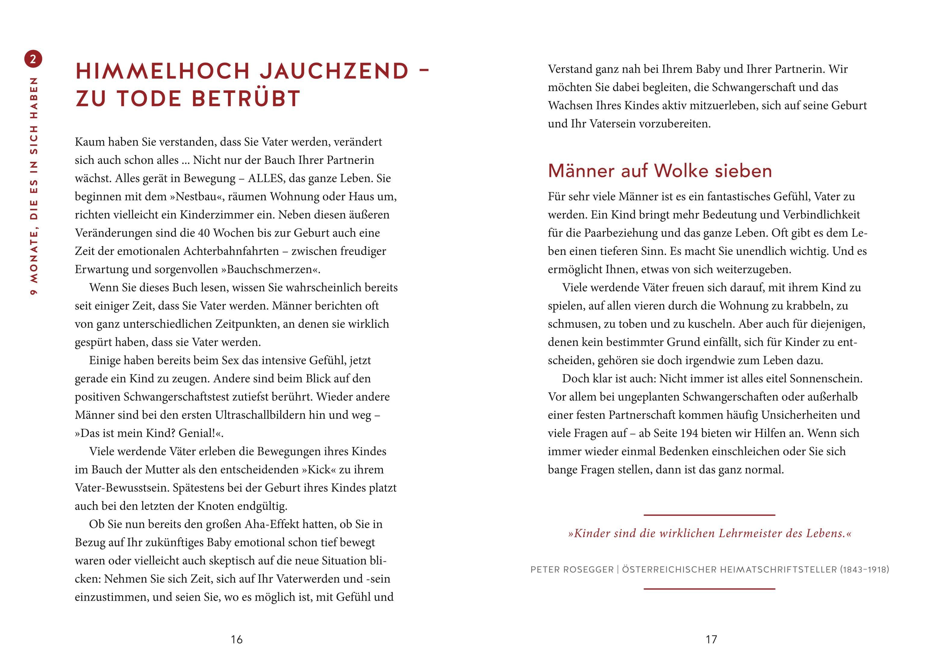 Beispielinhalt (Bild) Das Papa-Handbuch