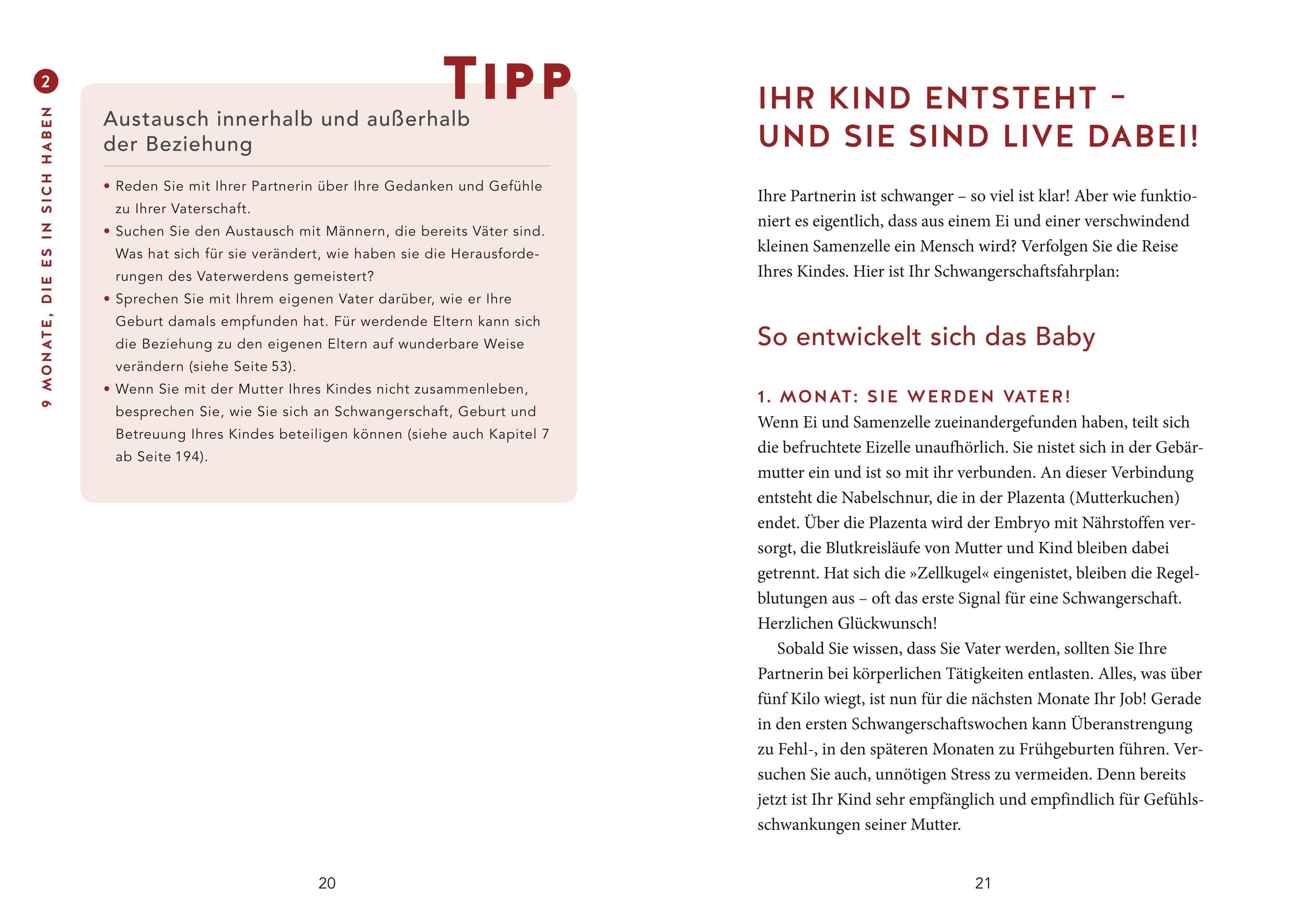 Beispielinhalt (Bild) Das Papa-Handbuch