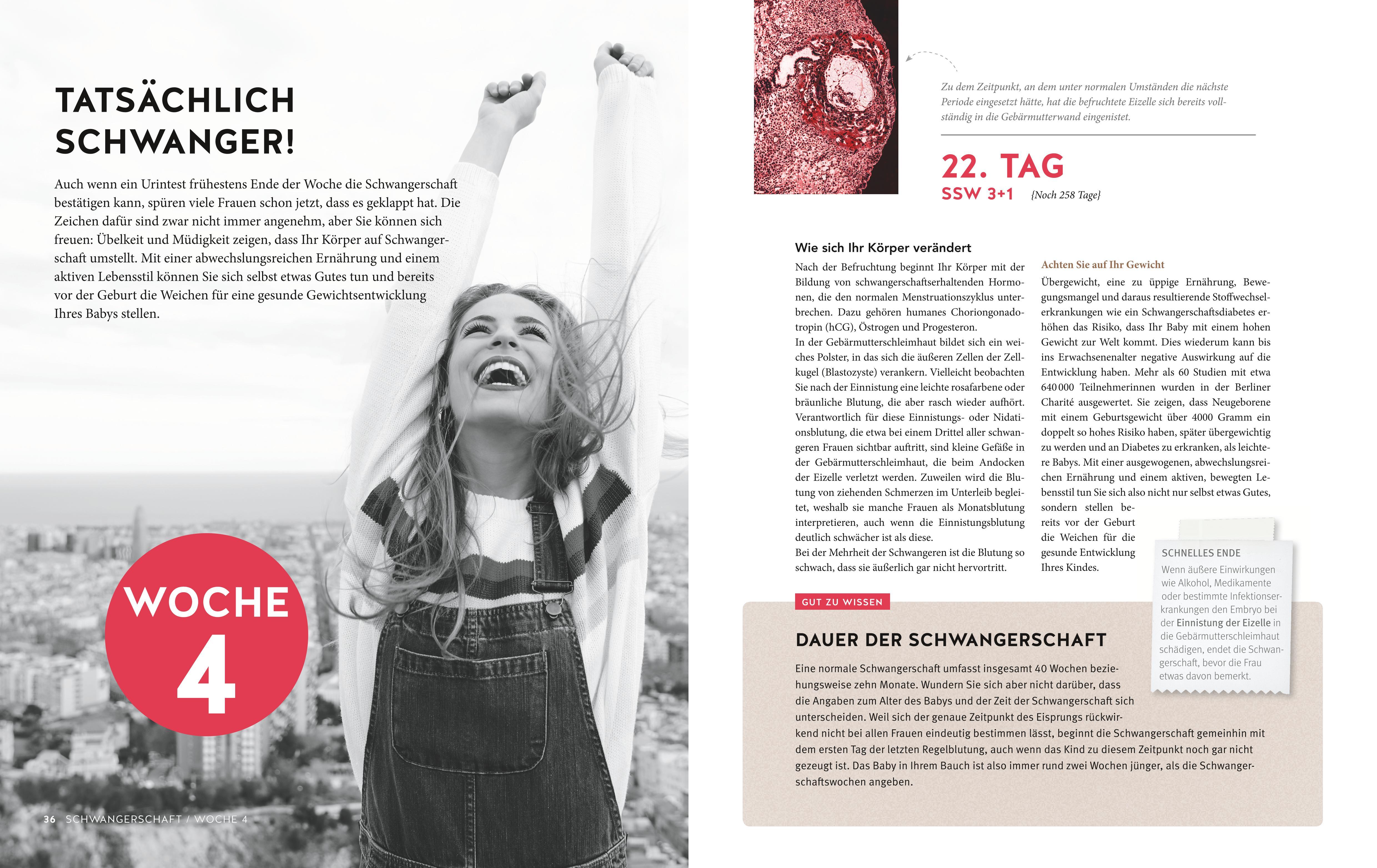 Beispielinhalt (Bild) Tag für Tag durch meine Schwangerschaft