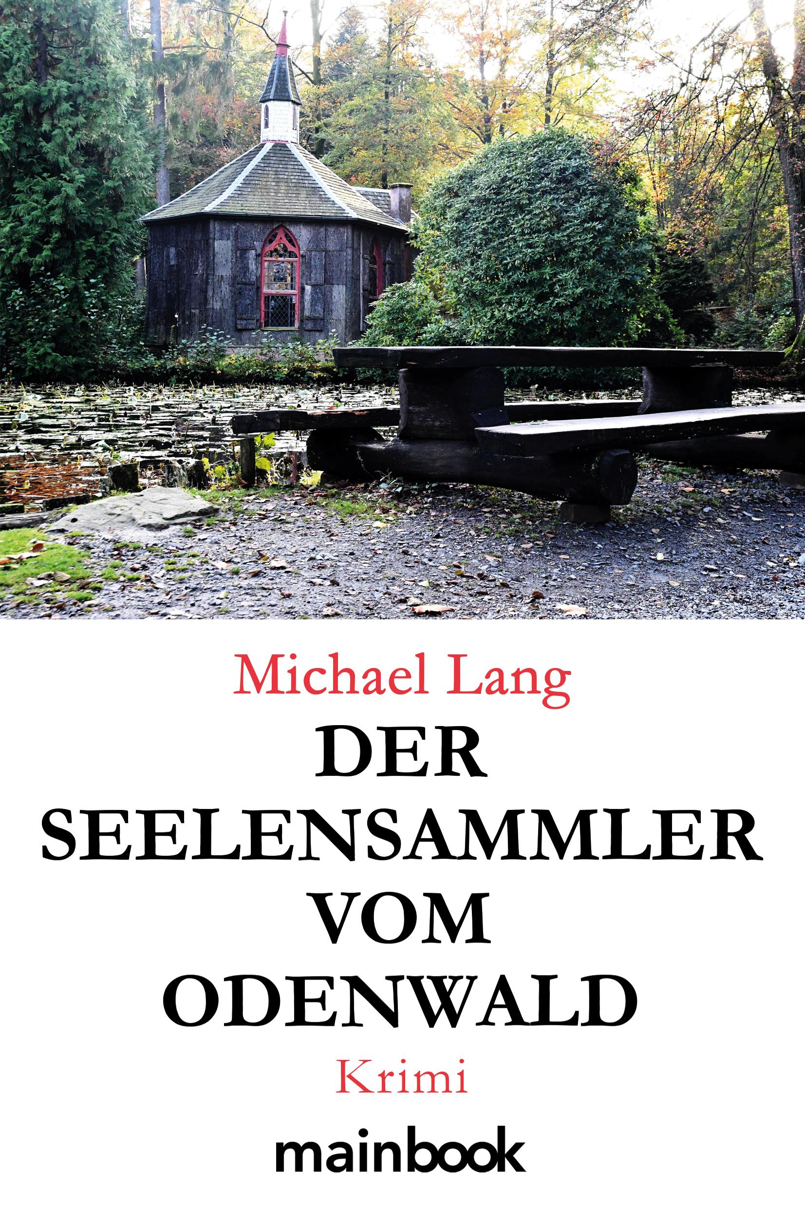 Vorderes Coverbild Der Seelensammler vom Odenwald
