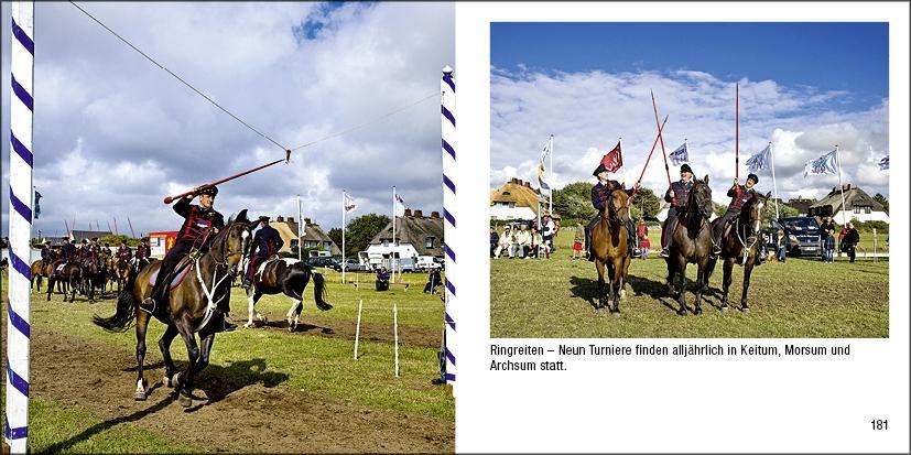 Beispielinhalt (Bild) Sylt - Book To Go