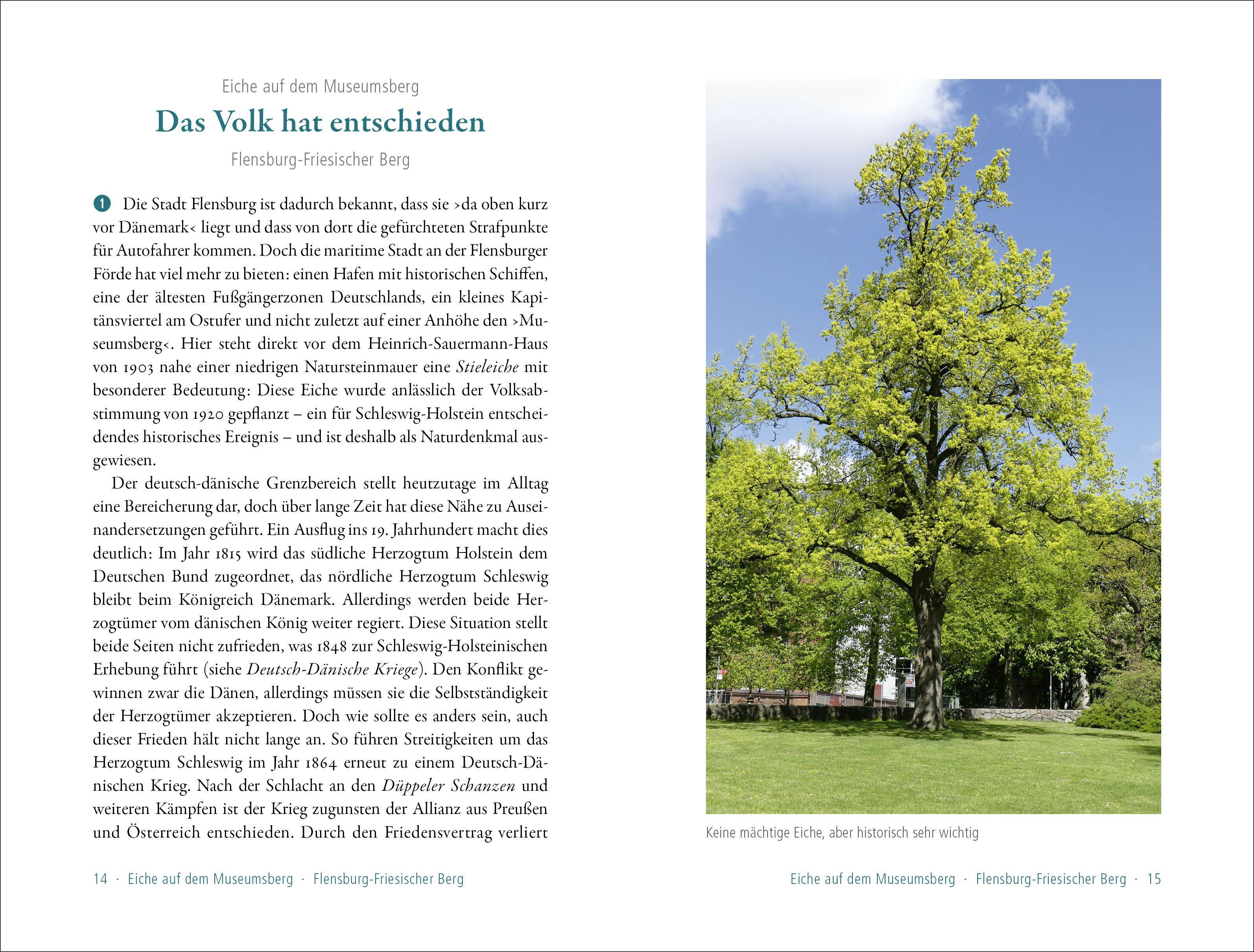 Beispielinhalt (Bild) 50 sagenhafte Naturdenkmale in Schleswig-Holstein
