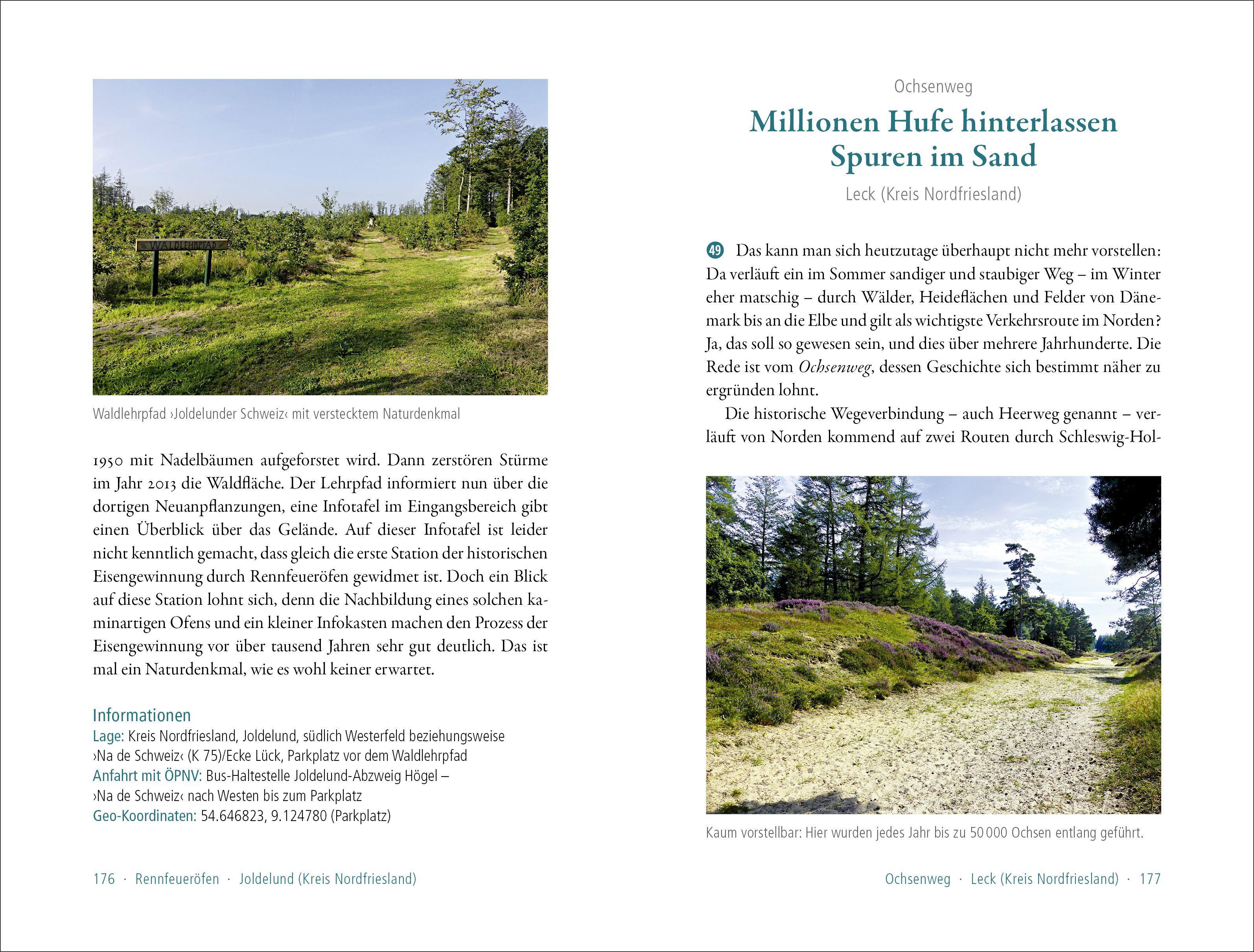 Beispielinhalt (Bild) 50 sagenhafte Naturdenkmale in Schleswig-Holstein