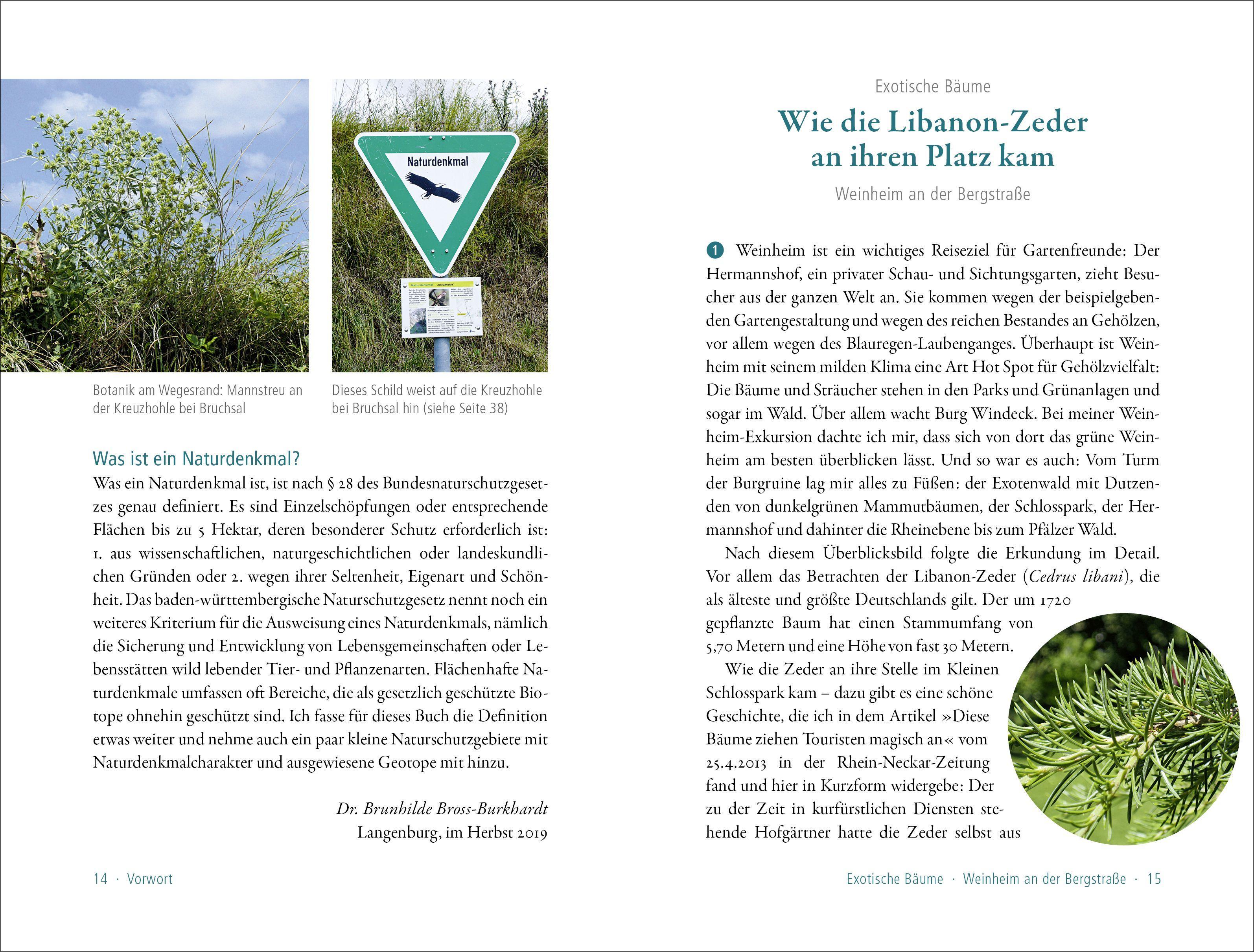 Beispielinhalt (Bild) 50 sagenhafte Naturdenkmale in Baden-Württemberg: Odenwald, Neckarland, Hohenlohe, Ostalb, Nordschwarzwald