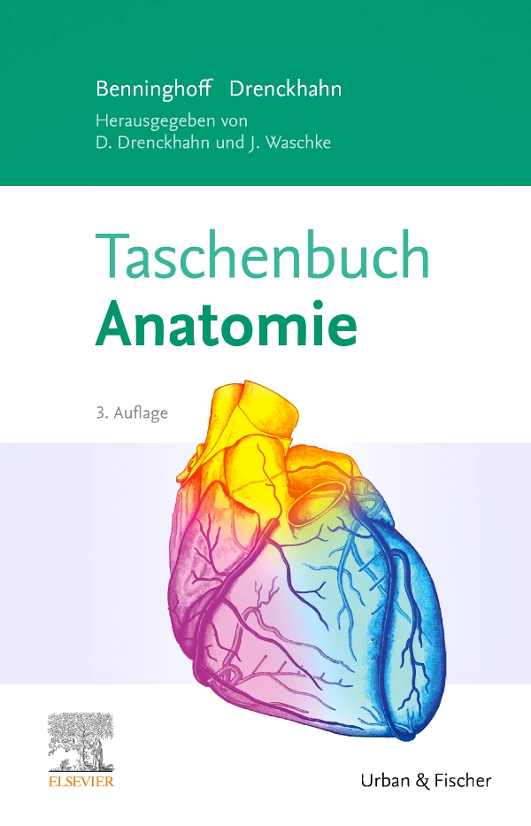 Vorderes Coverbild Taschenbuch Anatomie