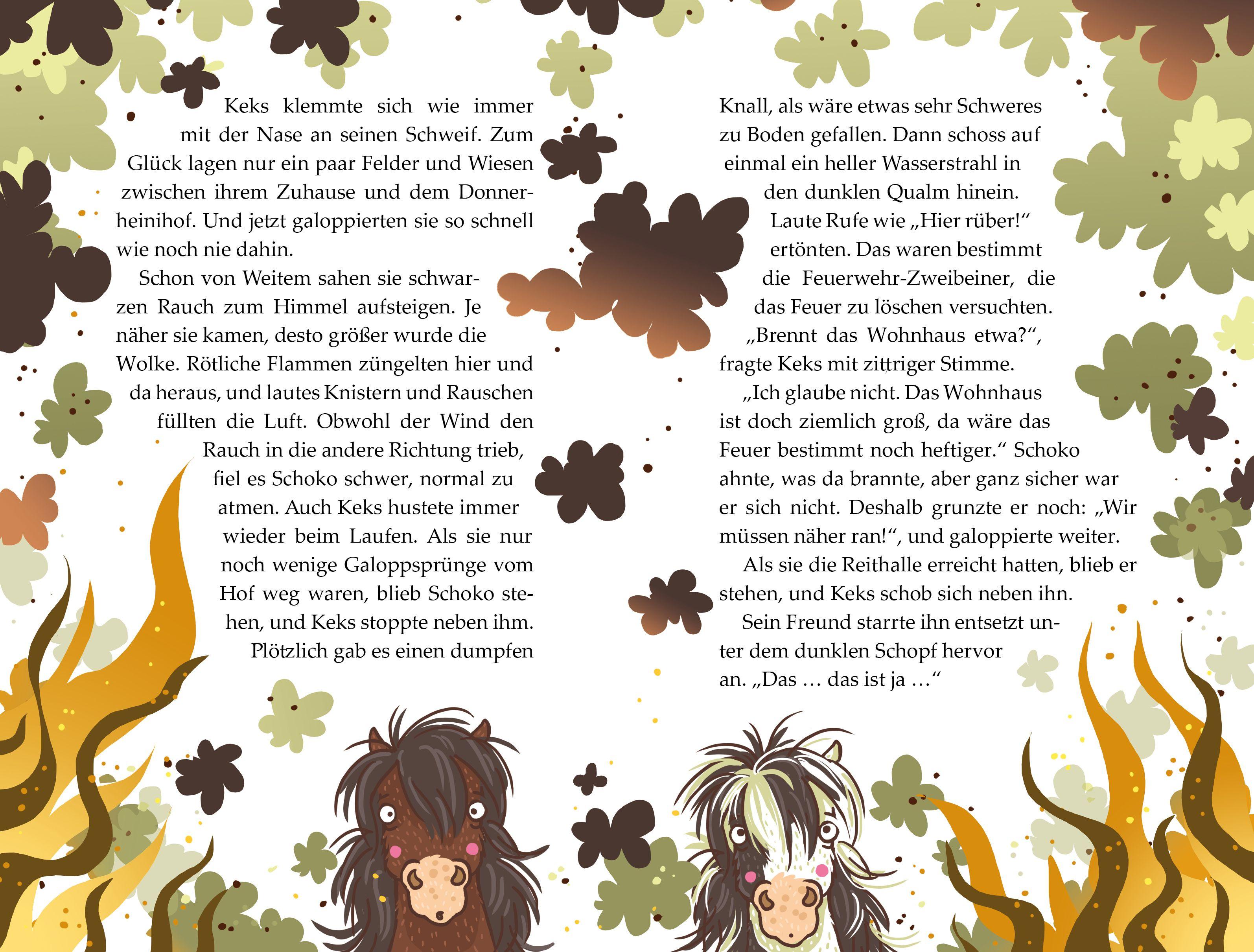 Beispielinhalt (Bild) Die Haferhorde - Löschen im Galopp - Band 14