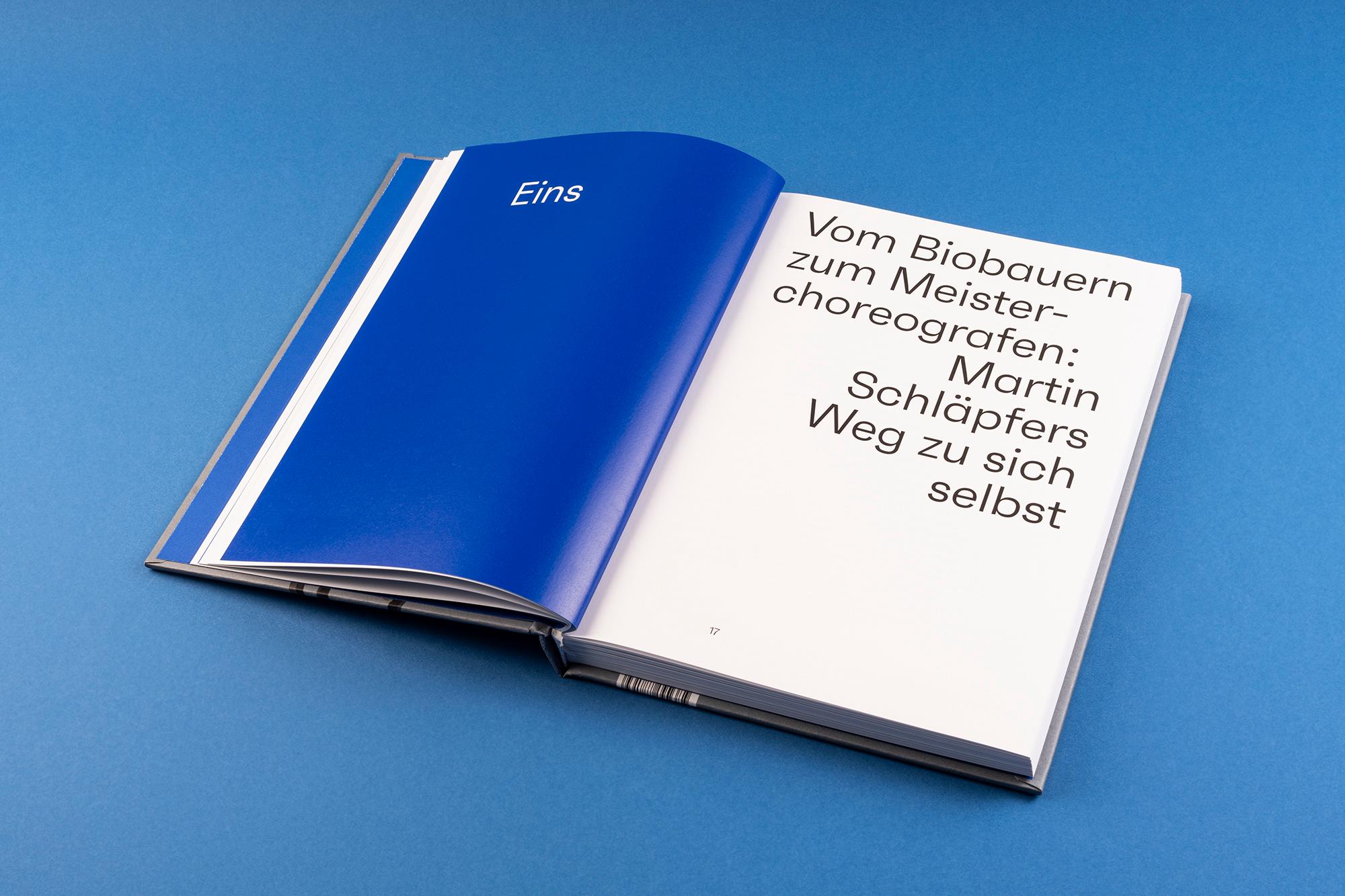 Beispielinhalt (Bild) Mein Tanz, mein Leben