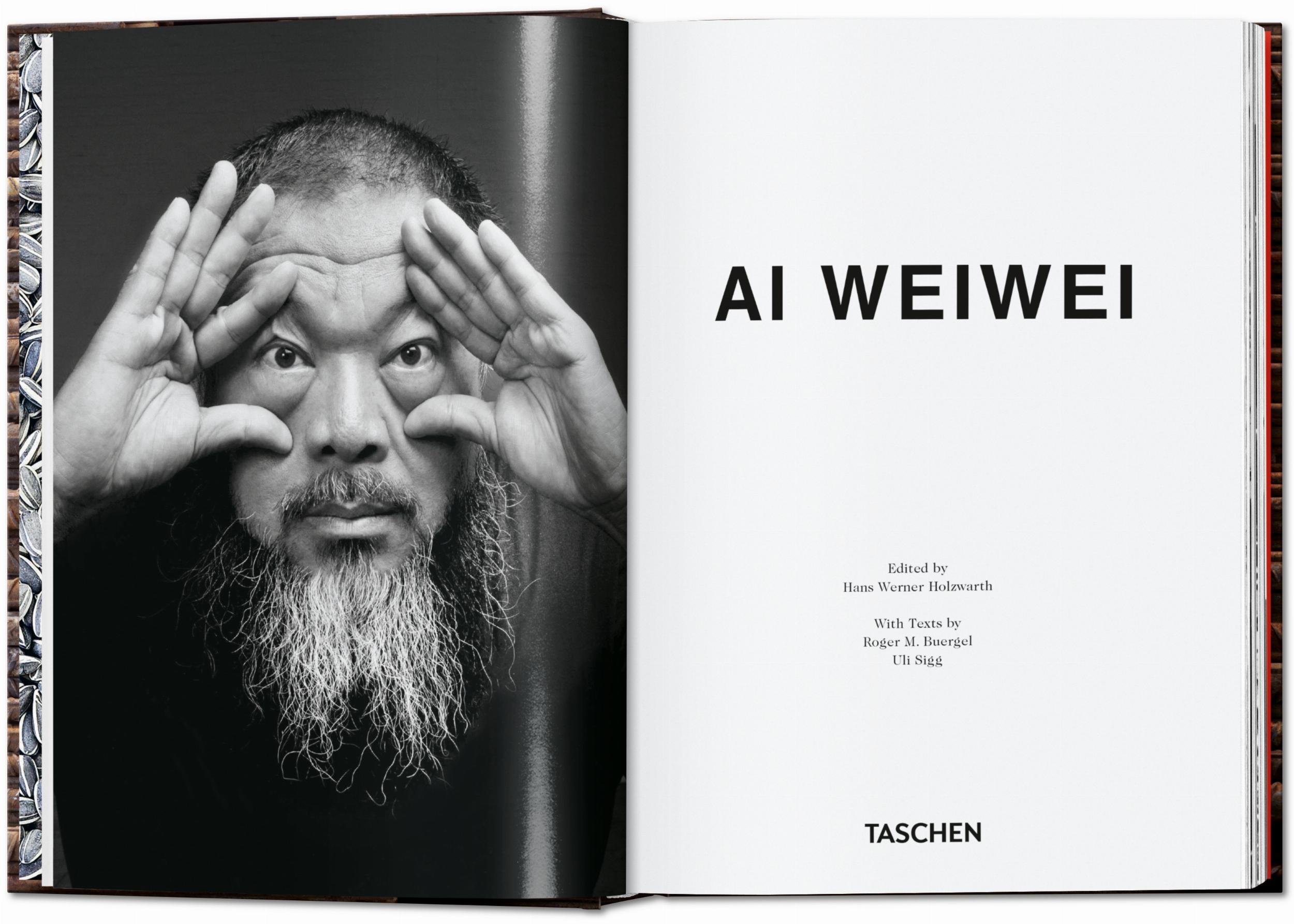 Beispielinhalt (Bild) Ai Weiwei. 40th Ed.