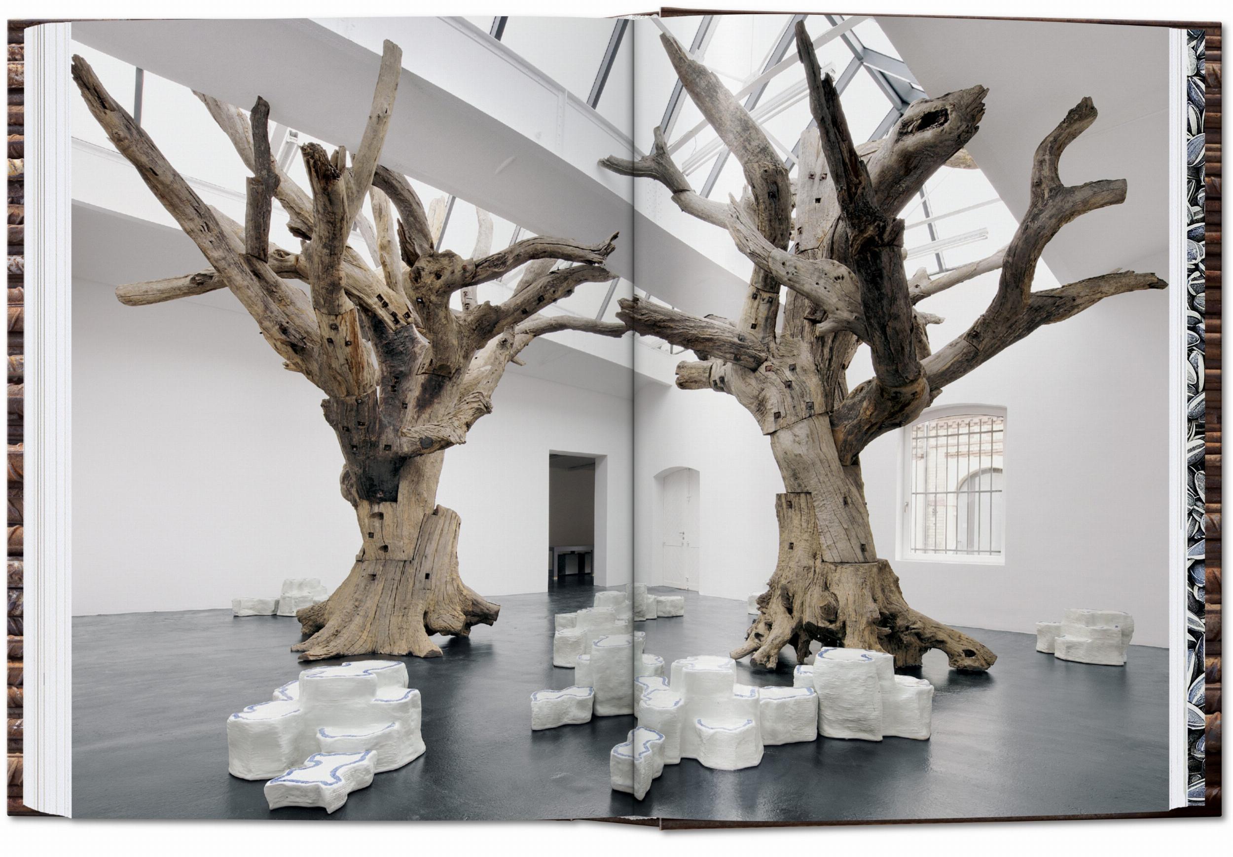 Beispielinhalt (Bild) Ai Weiwei. 40th Ed.