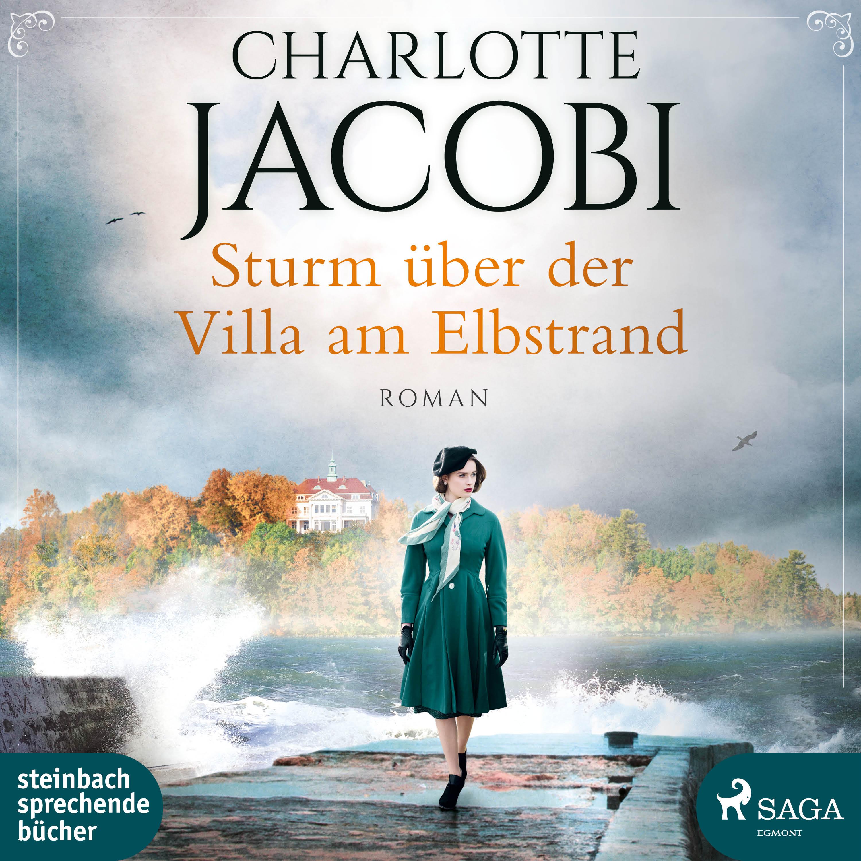 Vorderes Coverbild Sturm über der Villa am Elbstrand