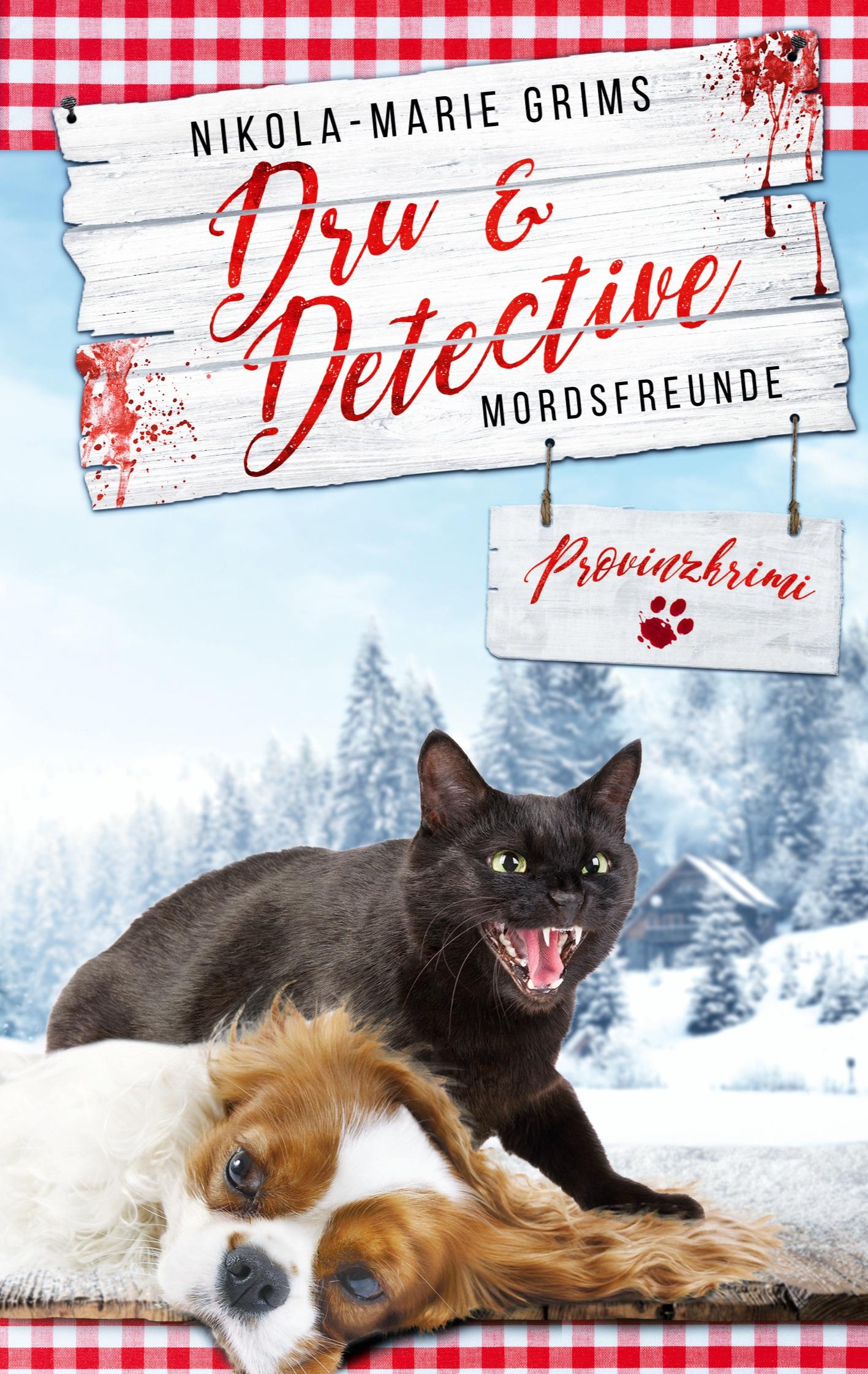 Vorderes Coverbild Dru & Detective