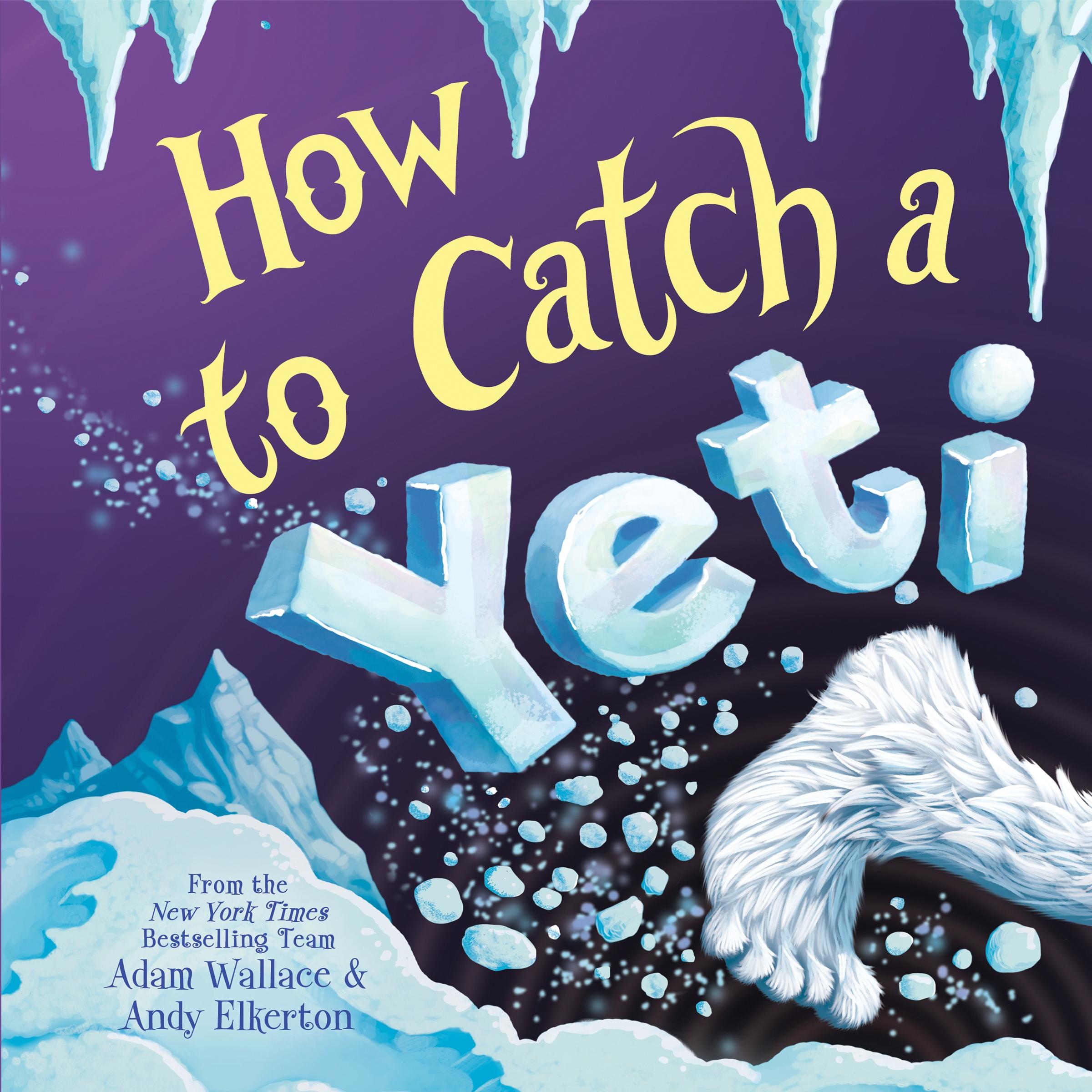 Vorderes Coverbild How to Catch a Yeti