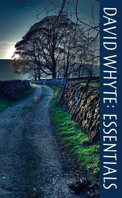 Vorderes Coverbild David Whyte Essentials