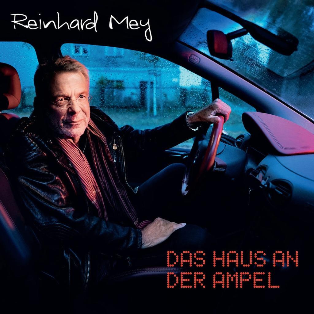 Vorderes Coverbild Das Haus an der Ampel