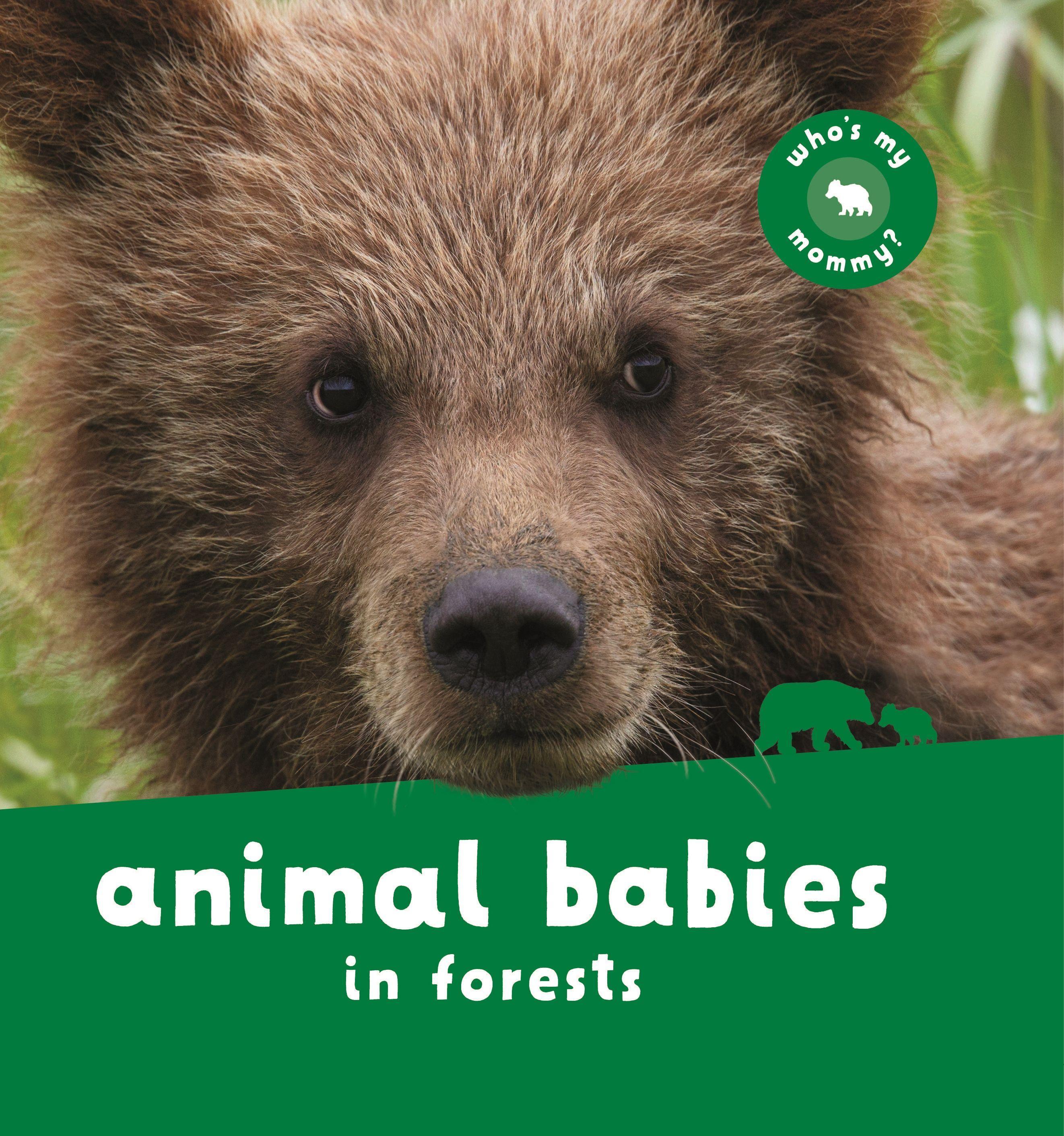 Vorderes Coverbild Animal Babies in Forests